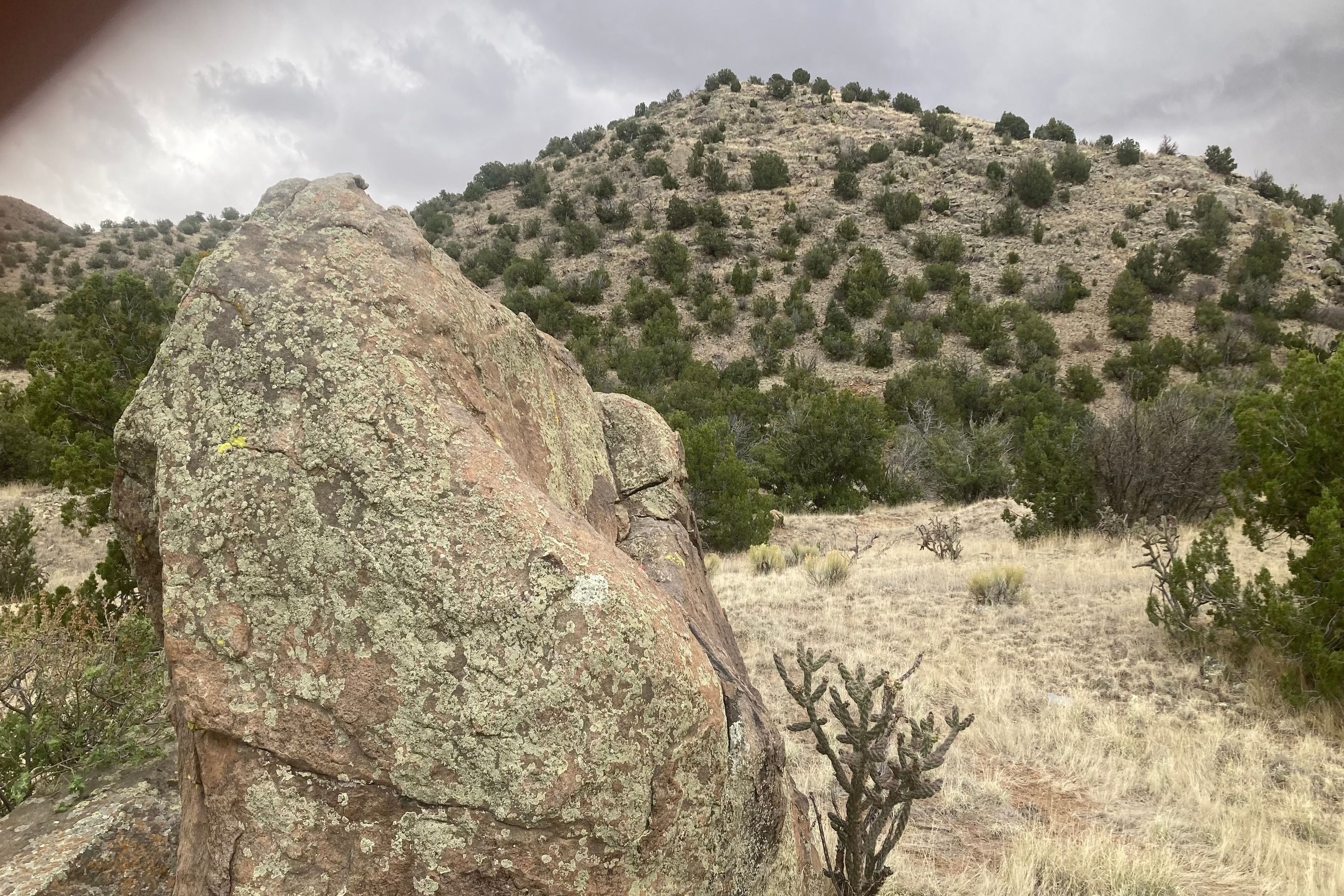  0 Land In Cerrillos T 15n R 8e S31., E 1/2-, Nw 1/4 - 物件實景