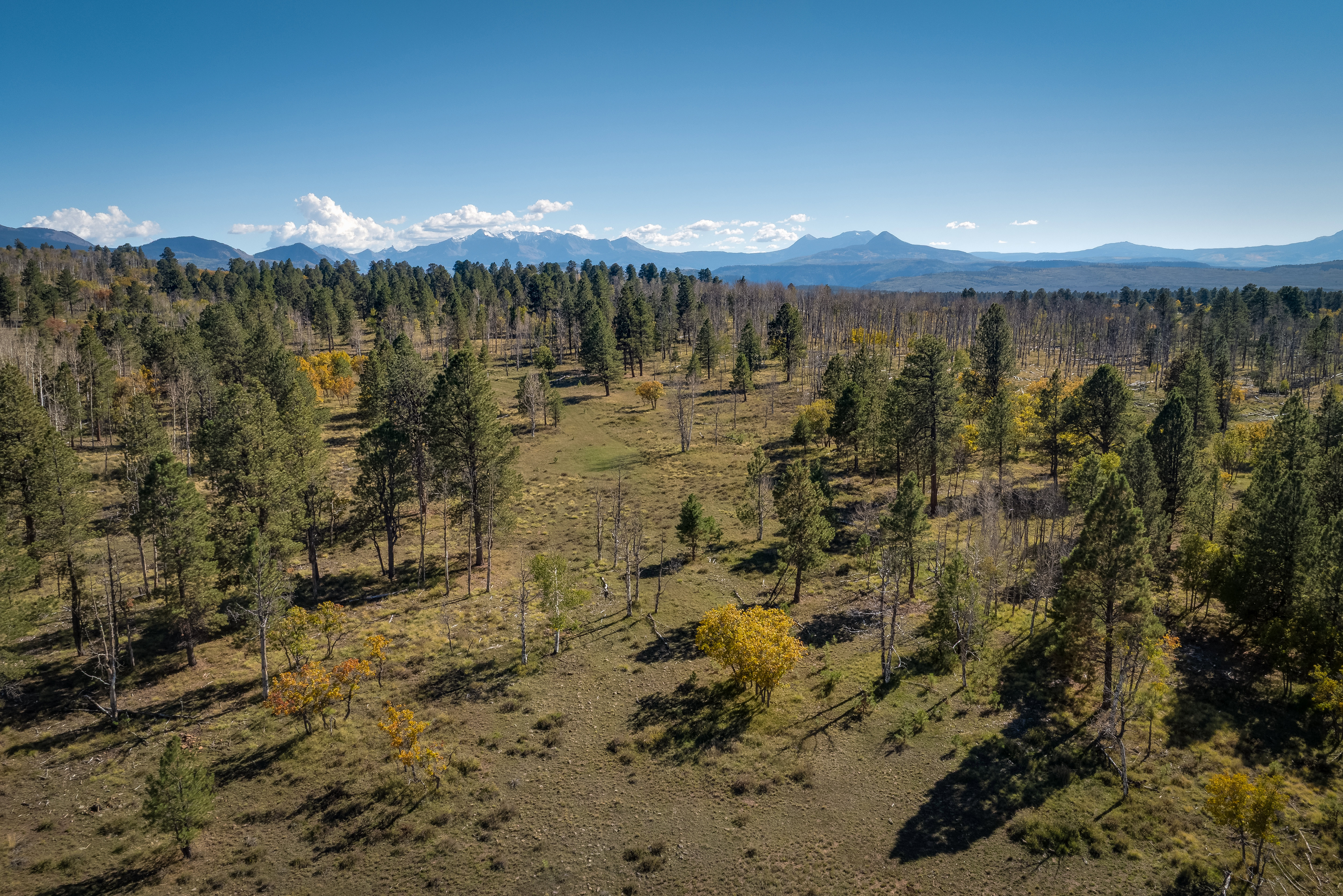  Acreage, Privacy and Easy Access to Telluride - 物件實景