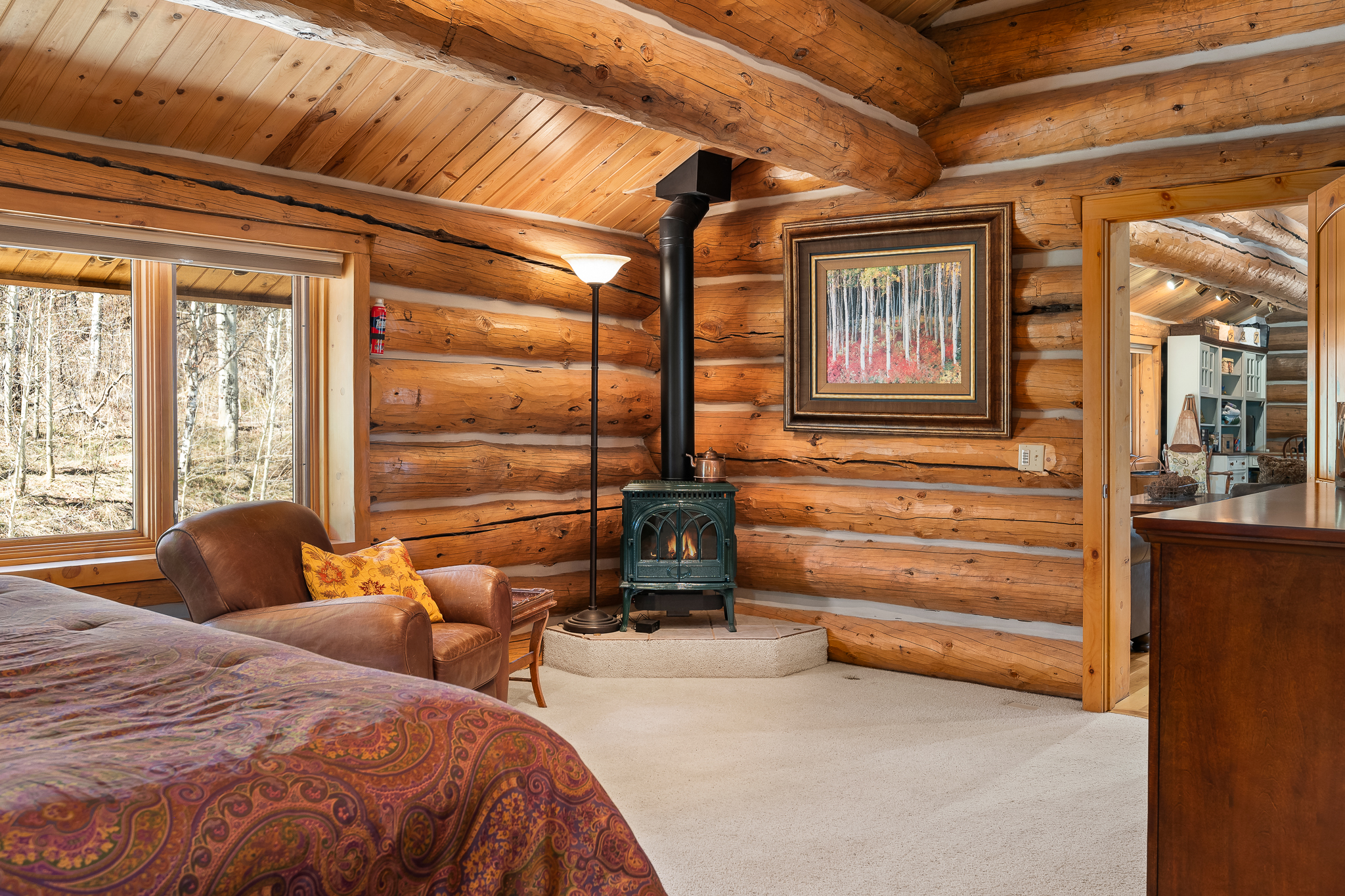  732 Gcr 52, Granby, CO, 80446 - 物件實景