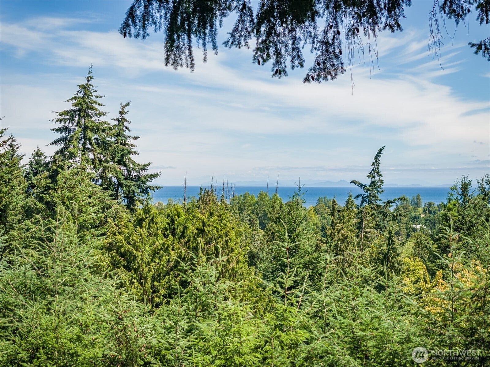 Sequim, Washington, 98382, United States, 4 Bedrooms Bedrooms, ,1 BathroomBathrooms,Residential,For Sale,1982988