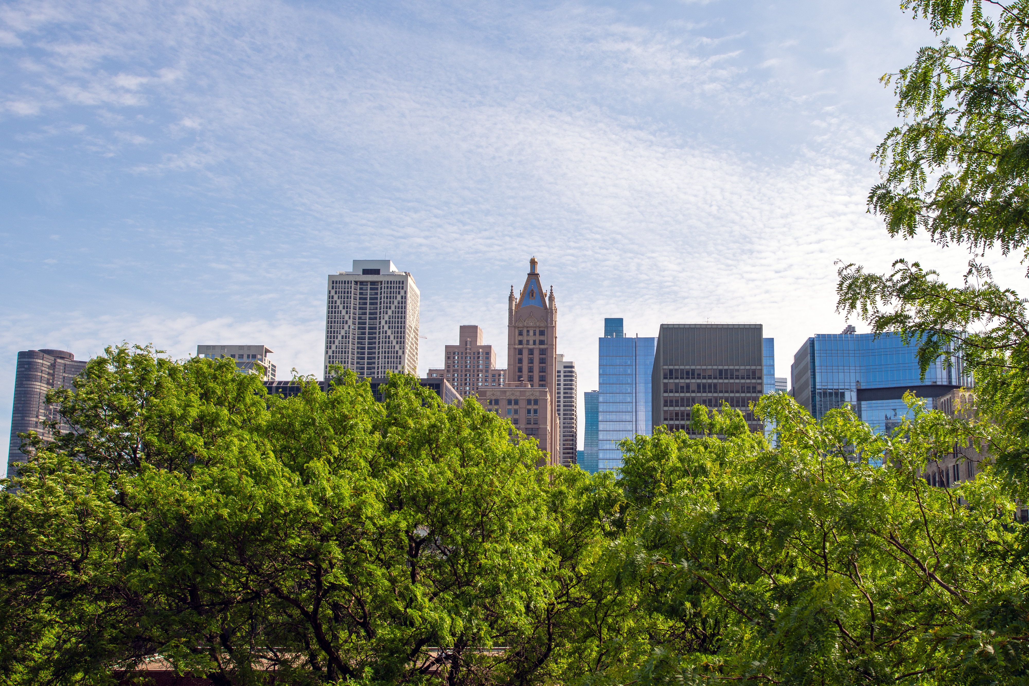  Rare Opportunity to Own One of Streeterville