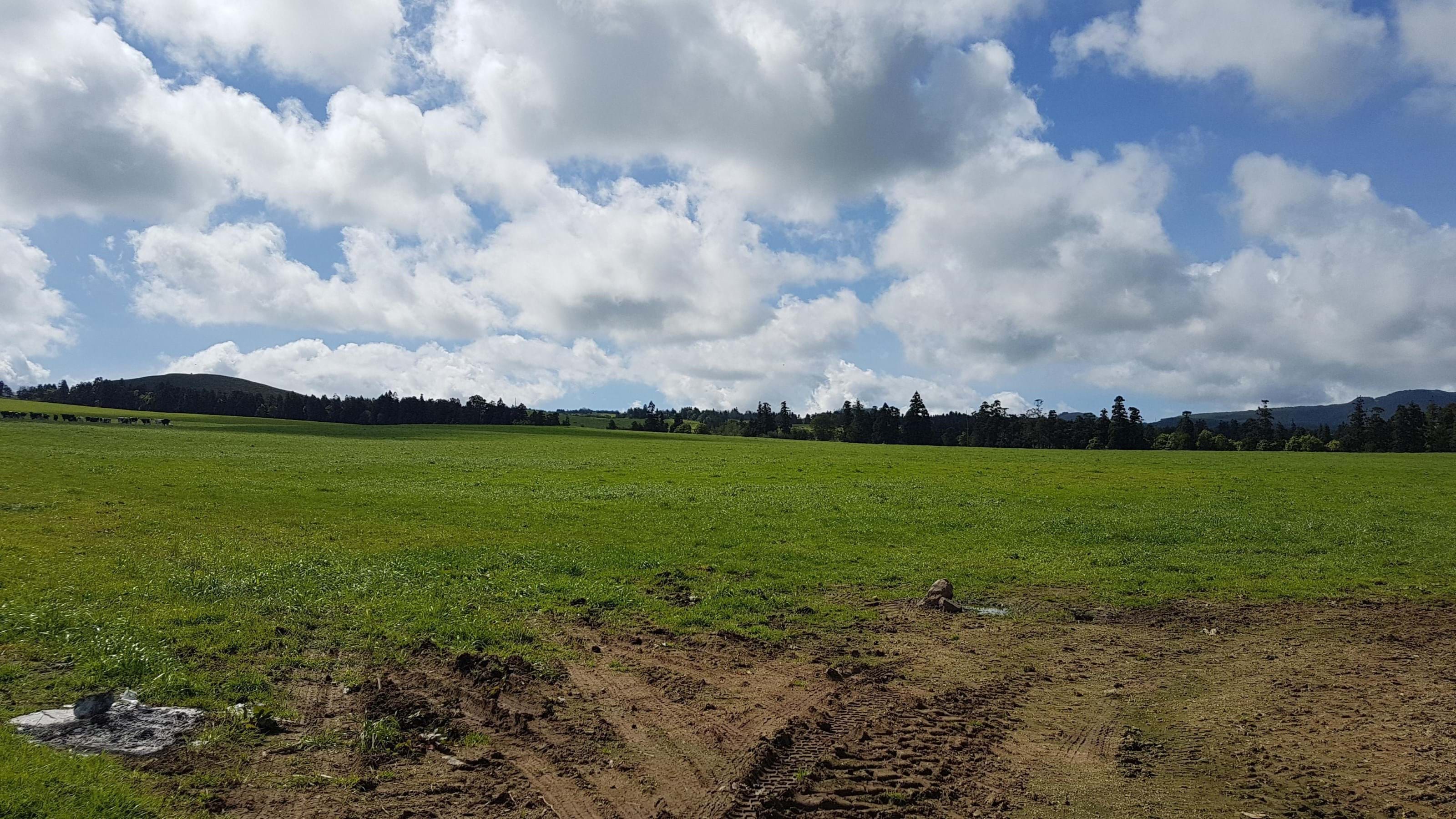 Ribeira Grande, Ilha de São Miguel, 9600, PT, ,Land,For Sale,1699985