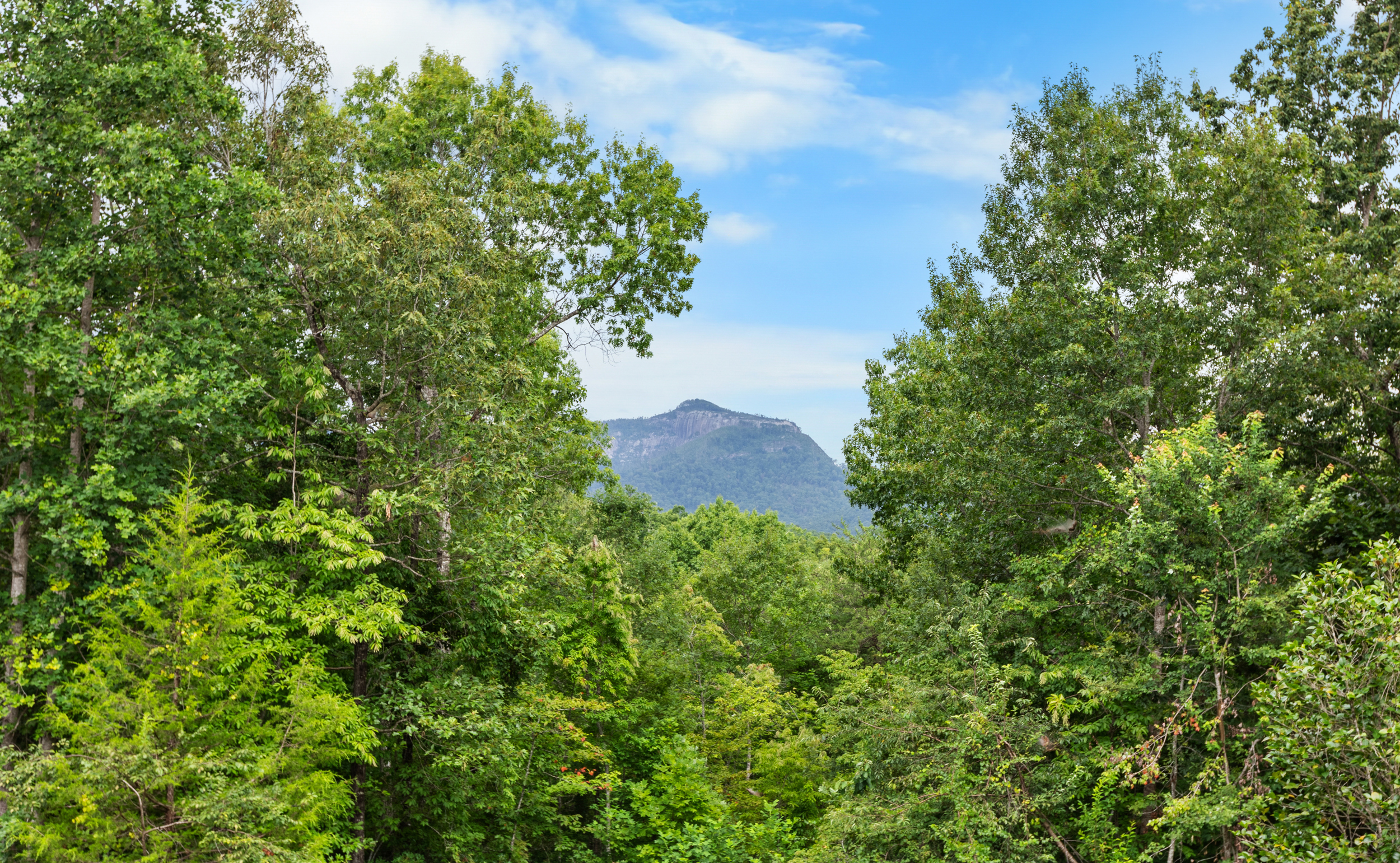  3765 South Carolina 11, Pickens, SC 29671 - 物件實景