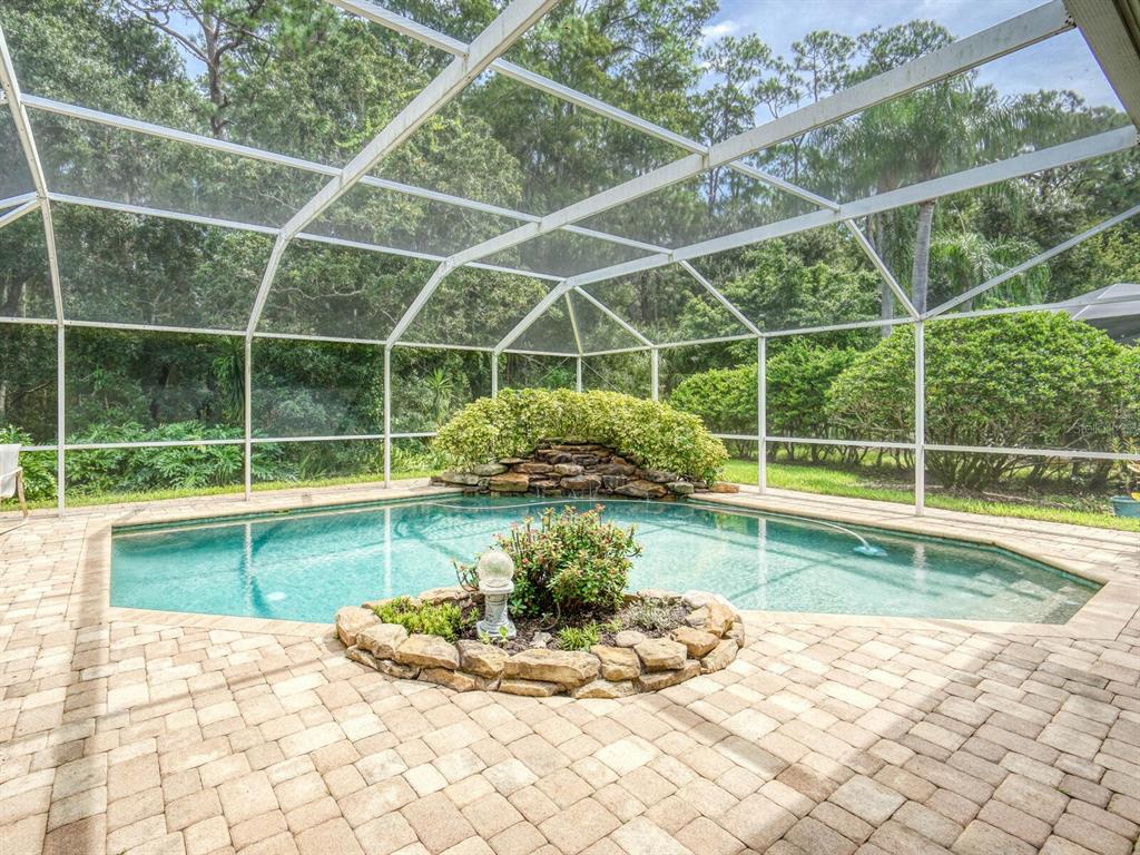 Palm Harbor, Florida, 34685, United States, 4 Bedrooms Bedrooms, ,3 BathroomsBathrooms,Residential,For Sale,1990294