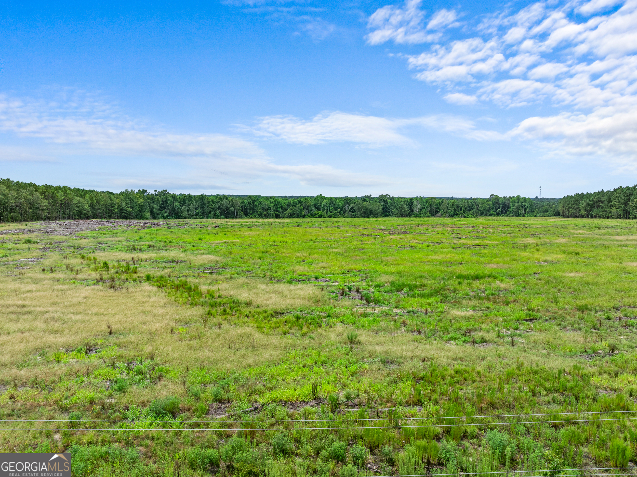 Statesboro, Georgia, 30458, United States, ,Land,For Sale,1911473