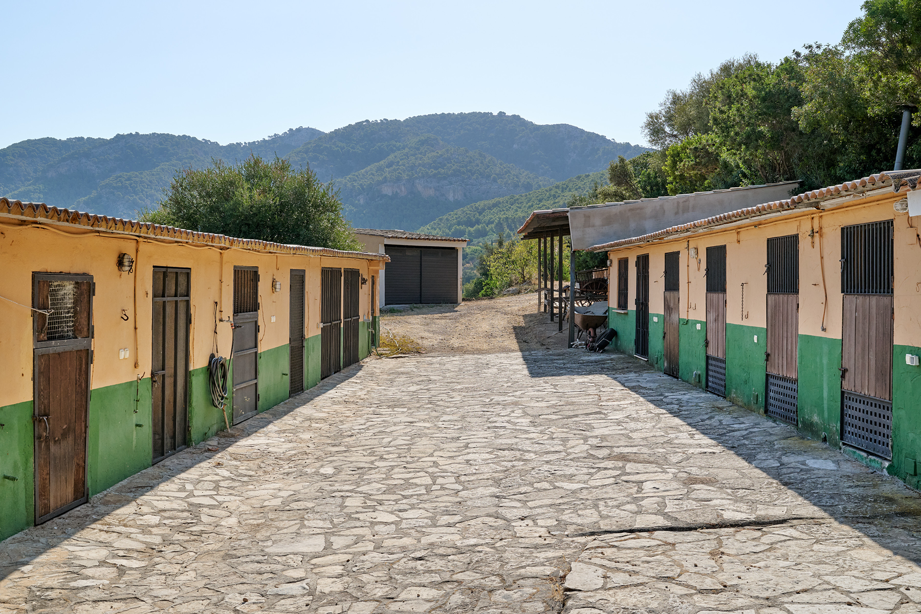  Country Estate with Equestrian Facilities in Port Andratx - 物件實景