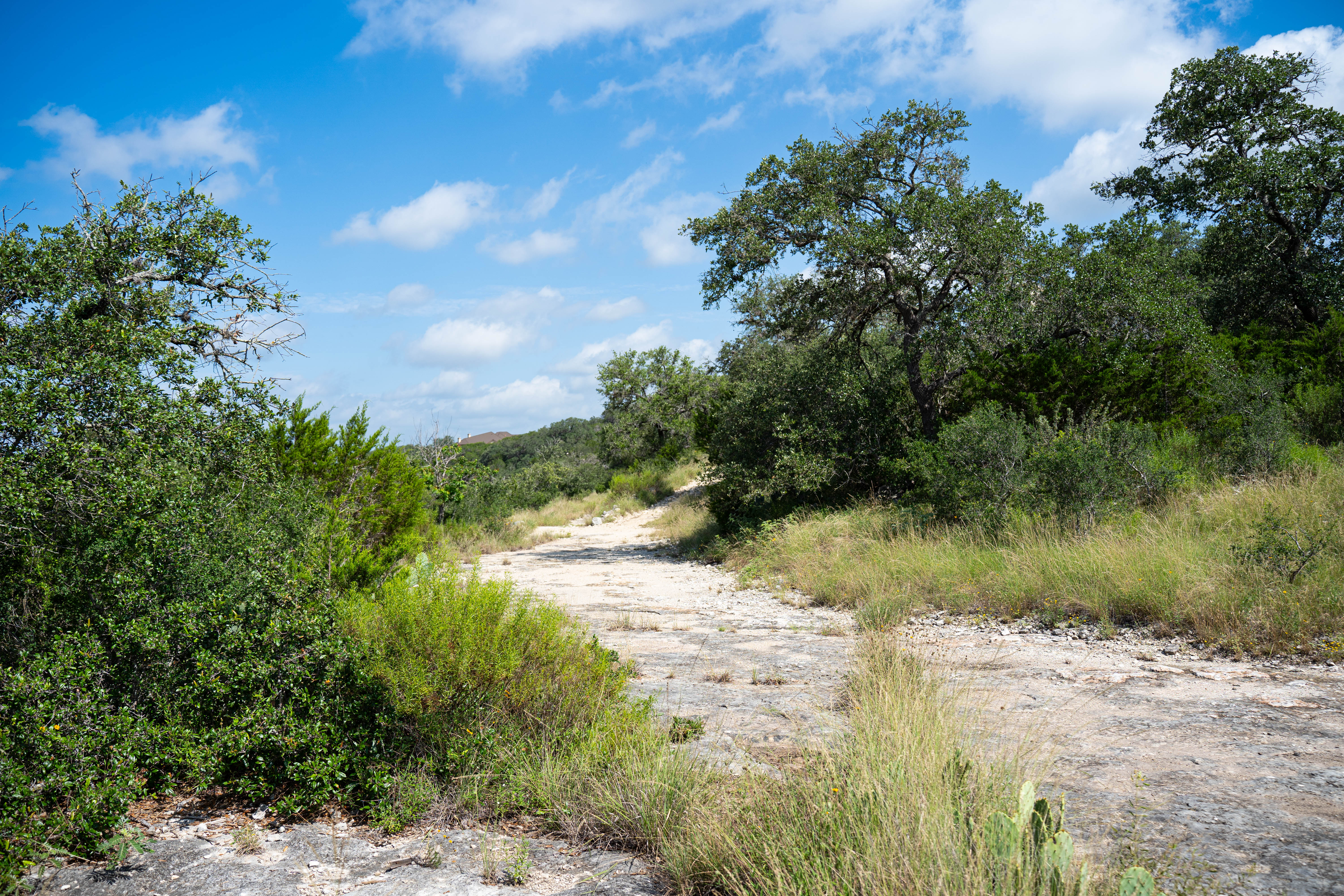  Refined Hill Country Living on the Guadalupe - 物件實景