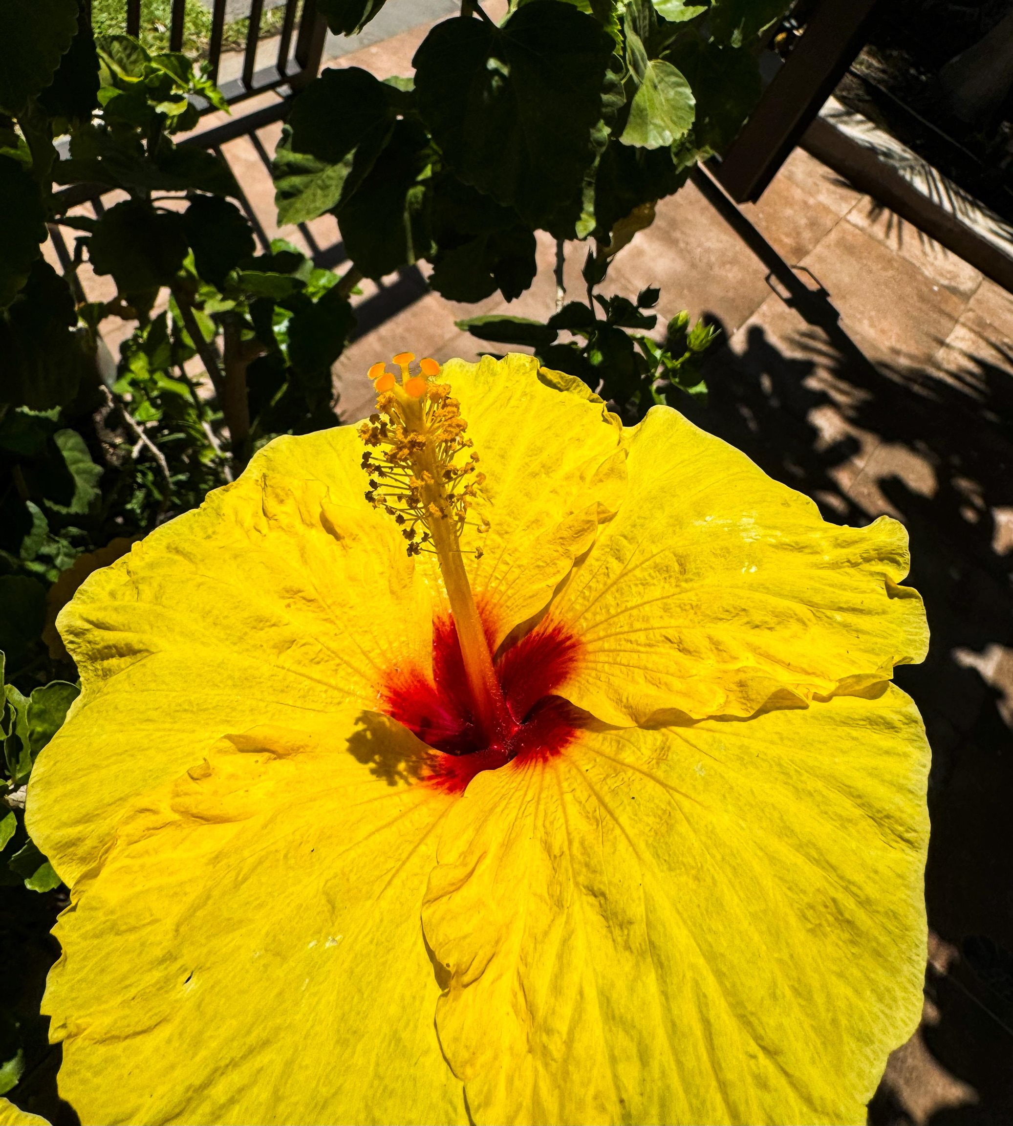 Kihei, Hawaii, 96753, United States, ,1 BathroomBathrooms,Residential,For Sale,1846527