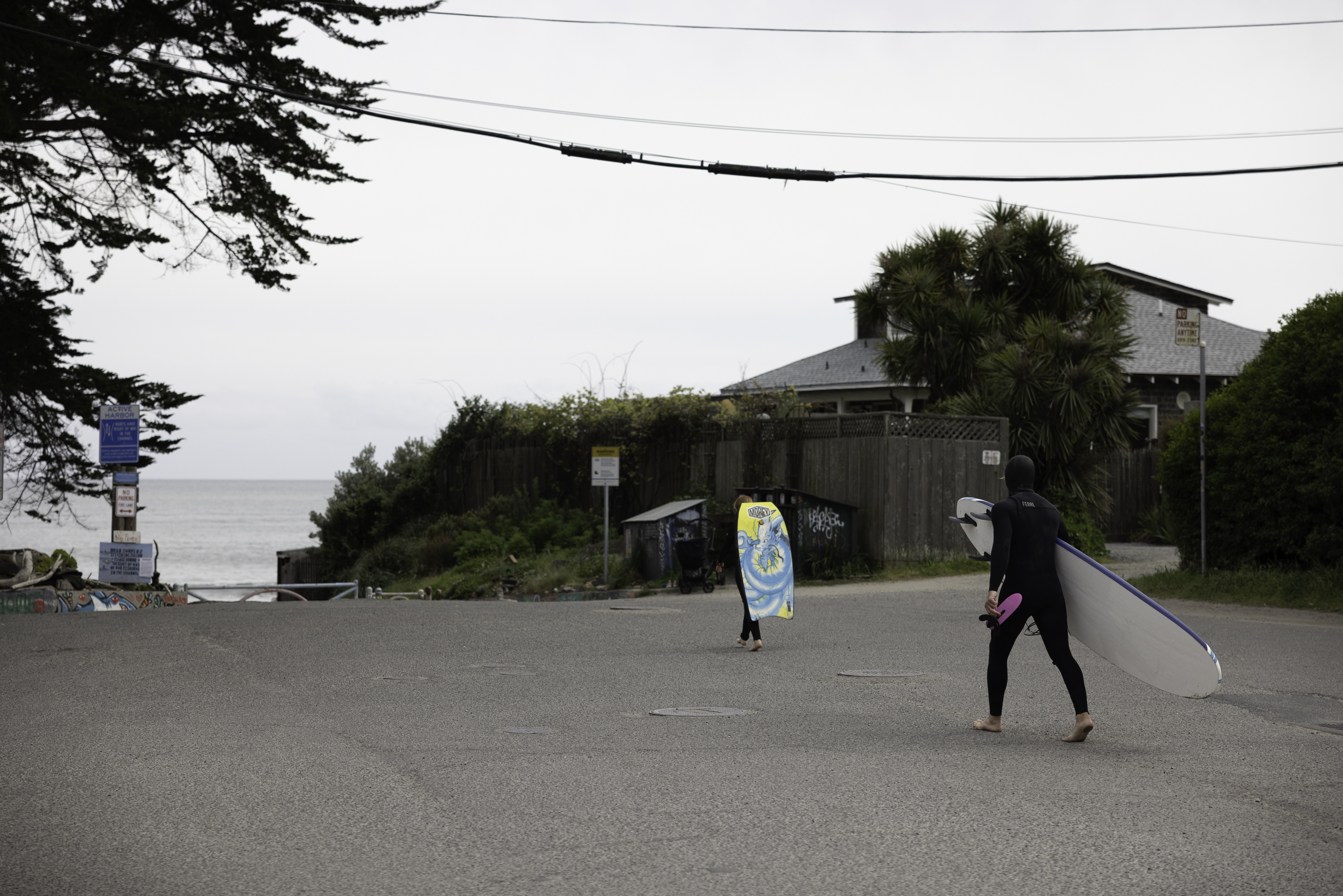  Catch the Sunshine . . . A Timeless Bolinas Cottage by the Ocean - 物件實景