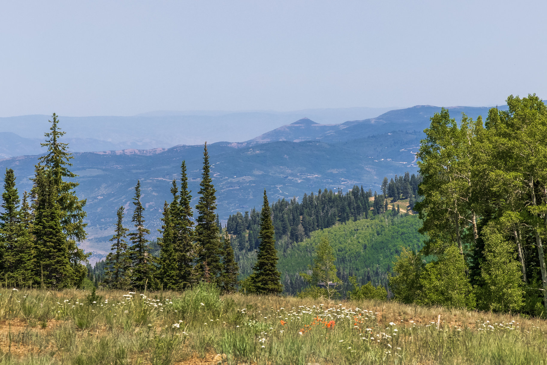  Incredible 28 Acre Estate Lot in the Colony at White Pine Canyon - 物件實景