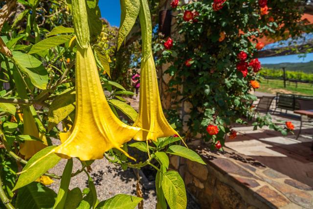 Ramona, California, 92065, United States, 3 Bedrooms Bedrooms, ,2 BathroomsBathrooms,Residential,For Sale,1999514