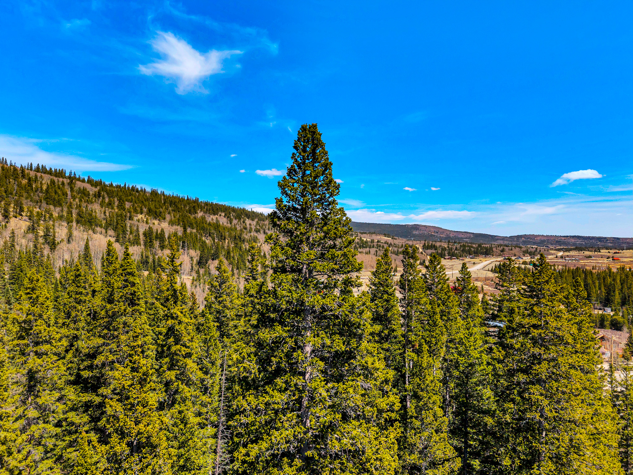  270 Co Rd 667, Alma, CO, 80440 - 物件實景