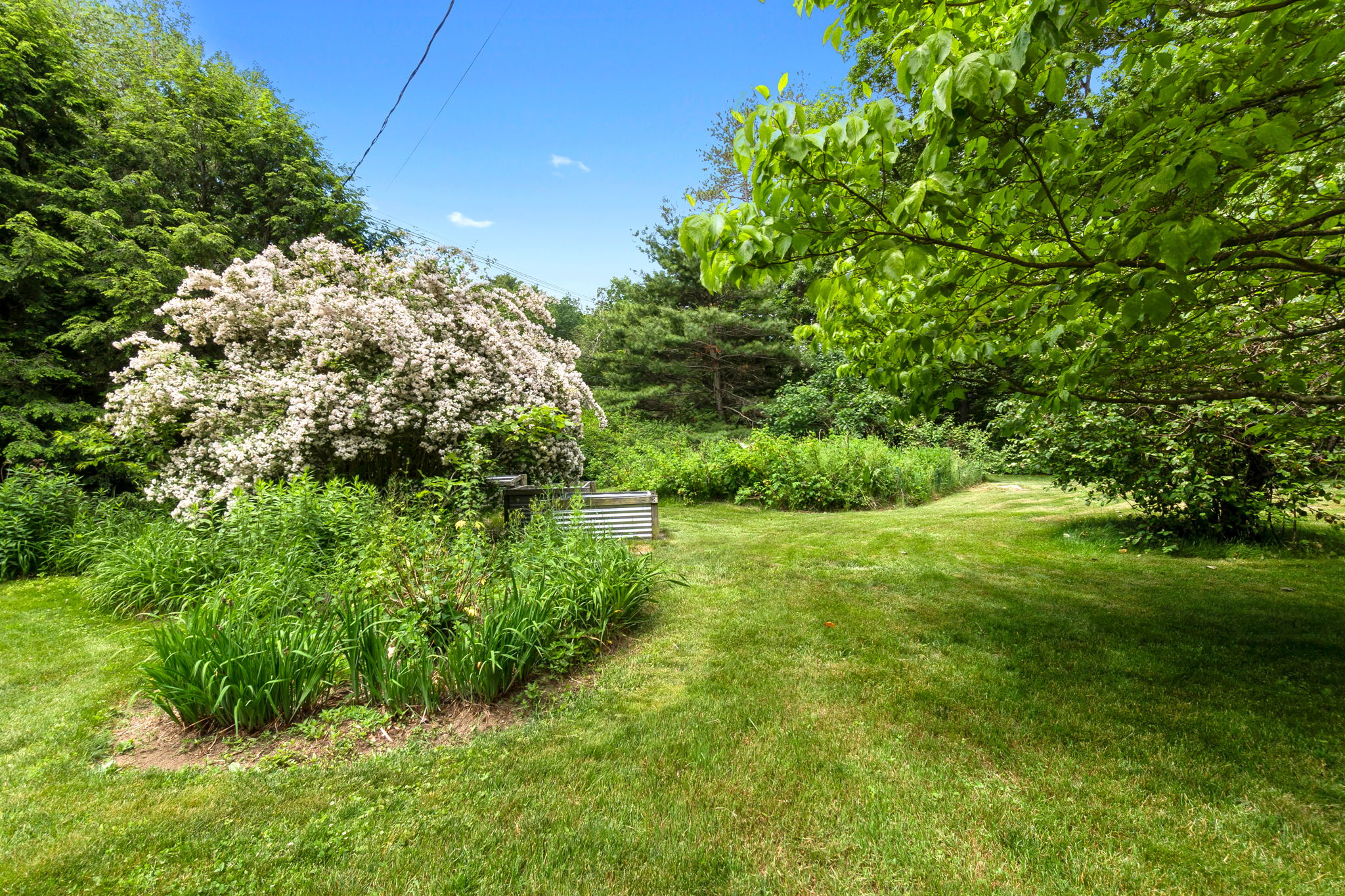  56 Jewett St, Georgetown, MA, 01833 - 物件實景
