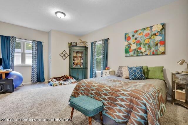 Charlotte, Michigan, 48813, United States, 5 Bedrooms Bedrooms, ,5 BathroomsBathrooms,Residential,For Sale,1985665