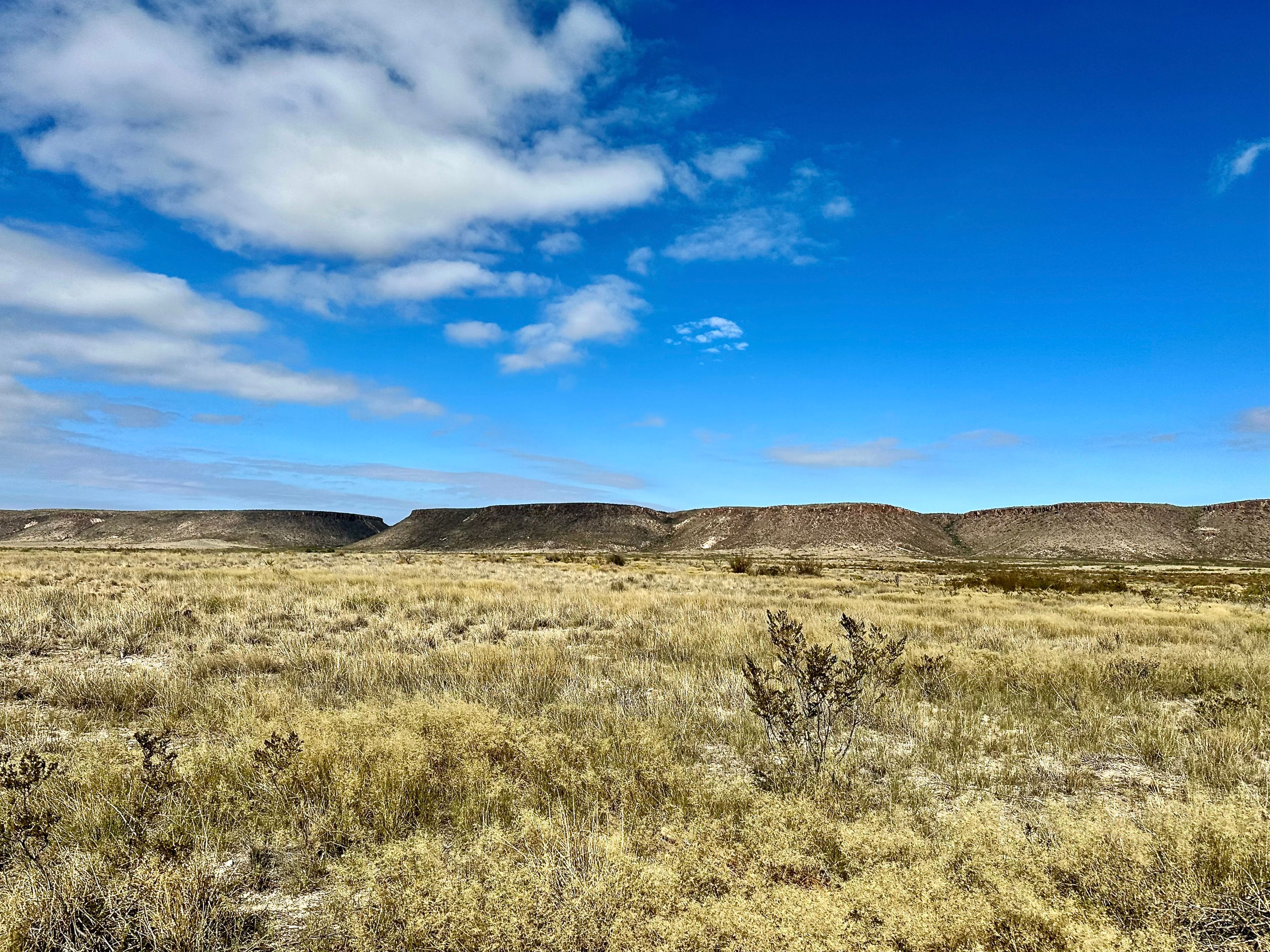  The Alamito Ranch in Presidio County - 物件實景