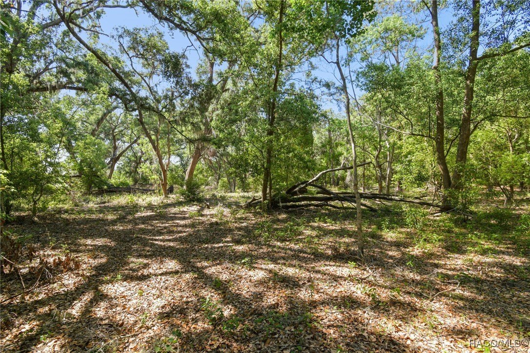 Brandon, Florida, 33511, United States, ,Land,For Sale,1981664