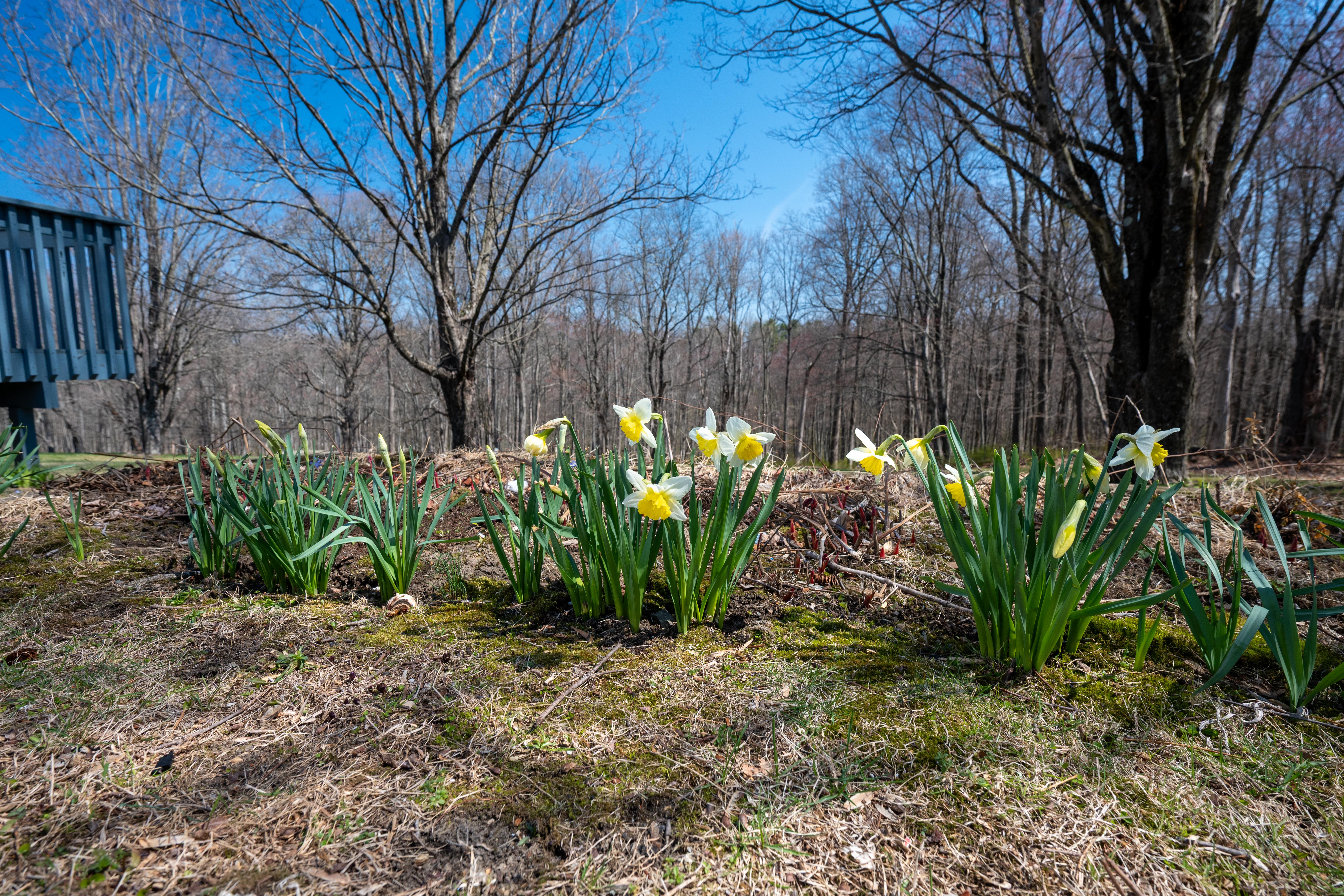  Well Built Colonial - 物件實景