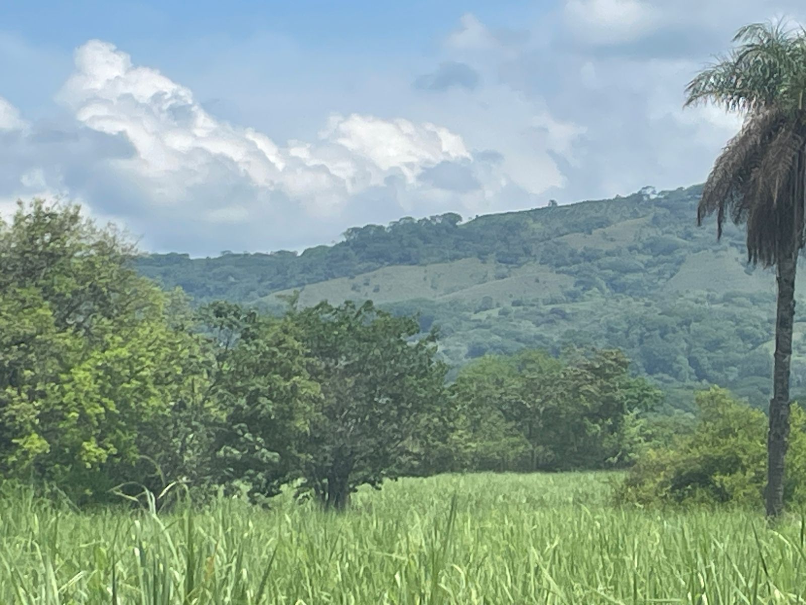 Escobal, Atenas, Atenas, Alajuela, CR, ,Land,For Sale,Escobal, Atenas,1627461