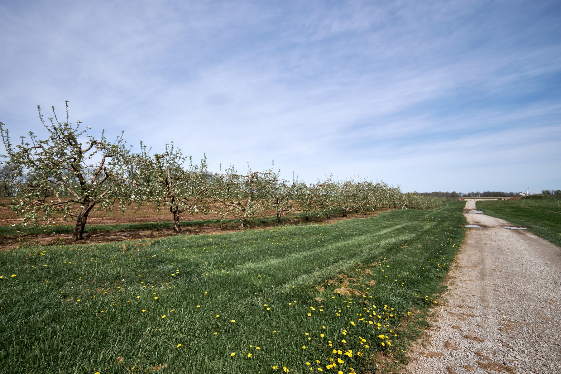  Premier Orchard & Winery with Luxurious Main House - 物件實景