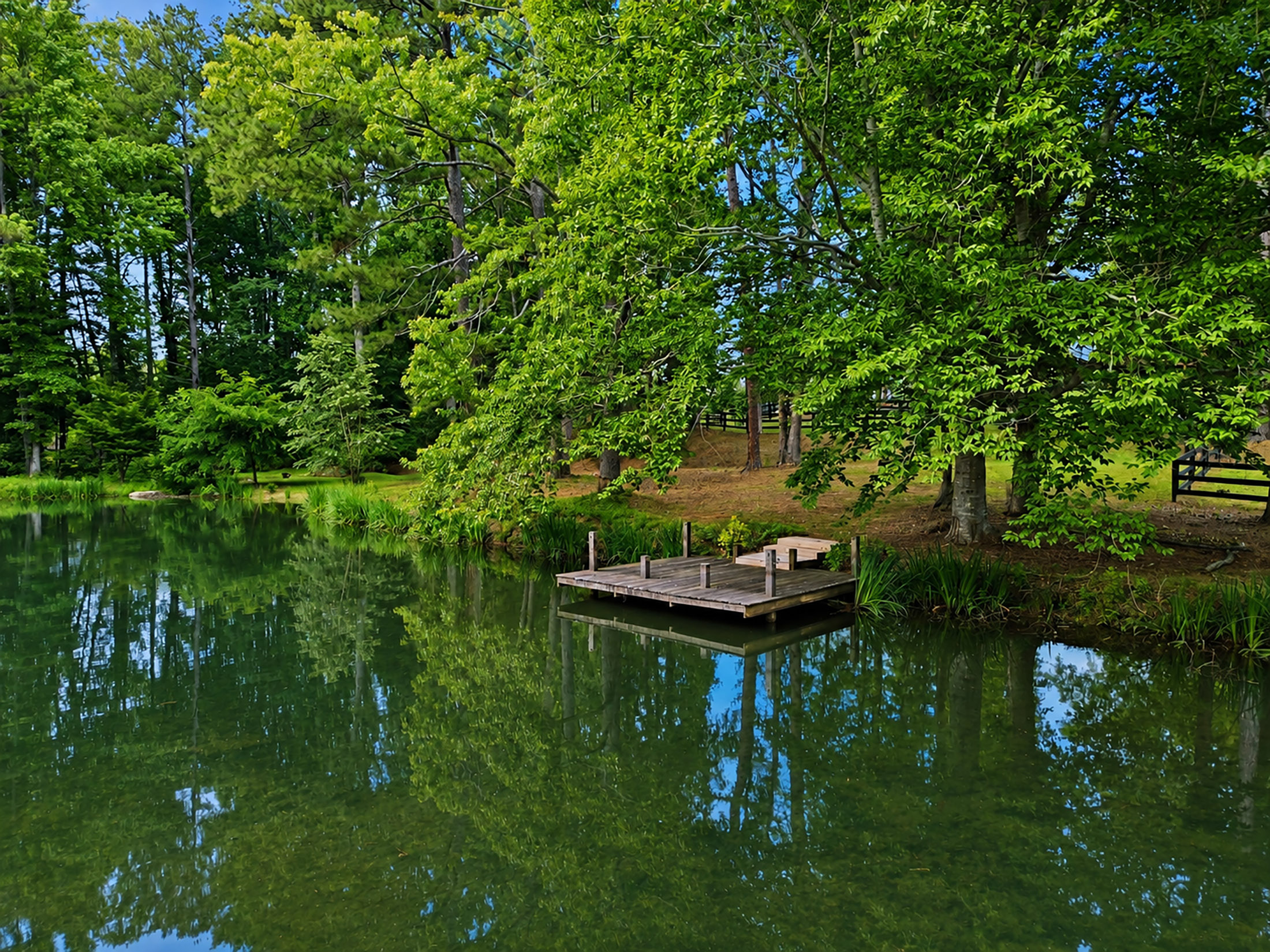  Exceptional Brick Ranch on 5+/- Picturesque Acres - 物件實景
