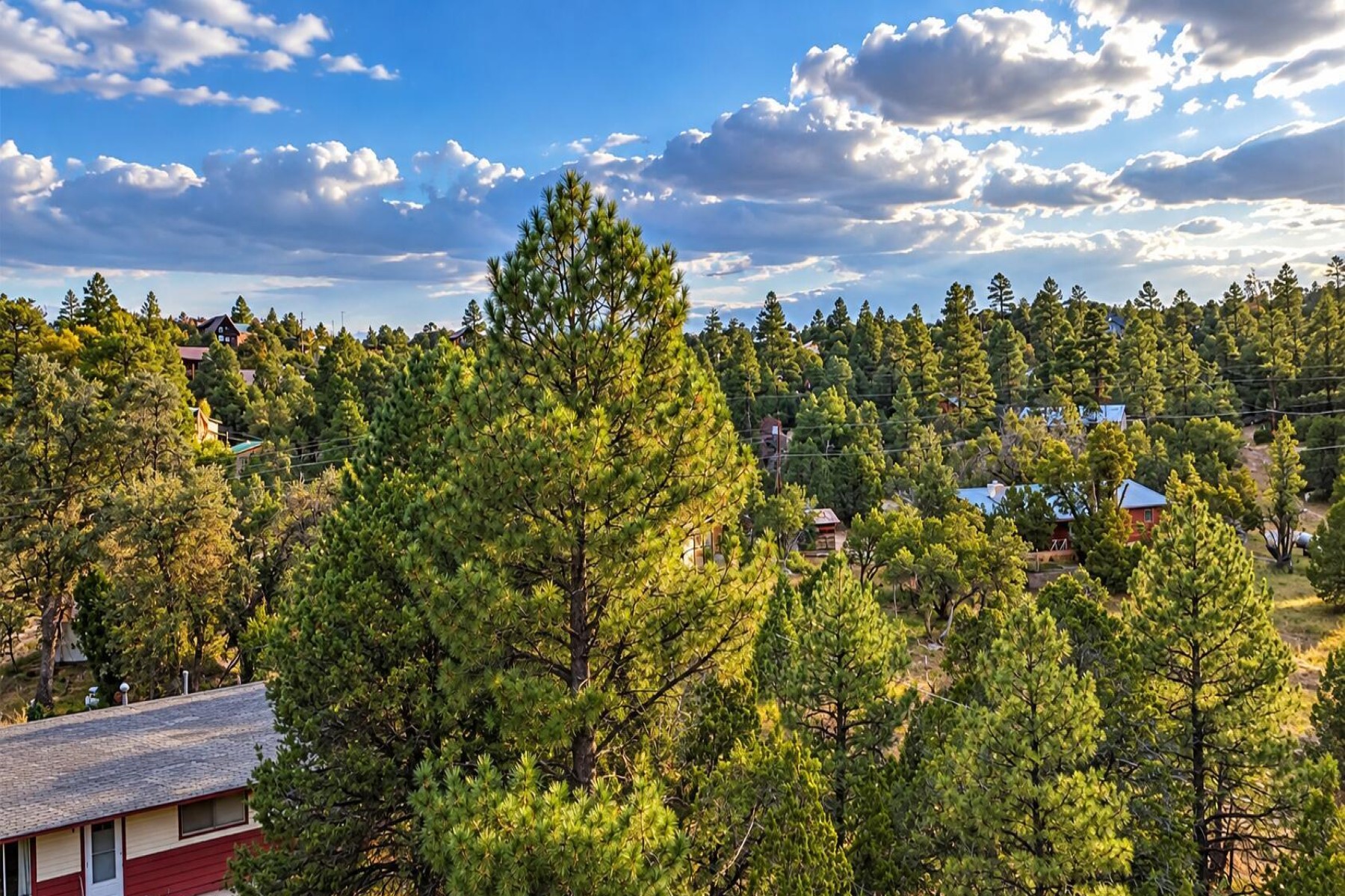  1895 Aspen Lane¦Heber, AZ - 物件實景