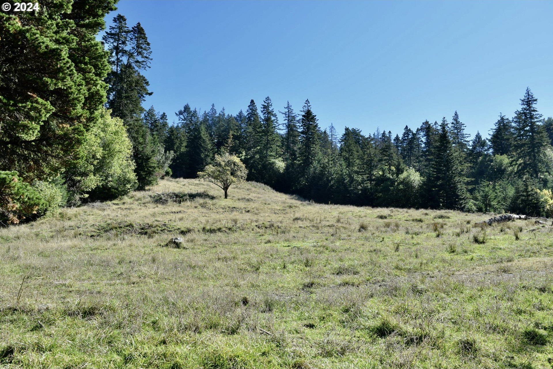 Port Orford, Oregon, 97465, United States, ,Land,For Sale,1977705