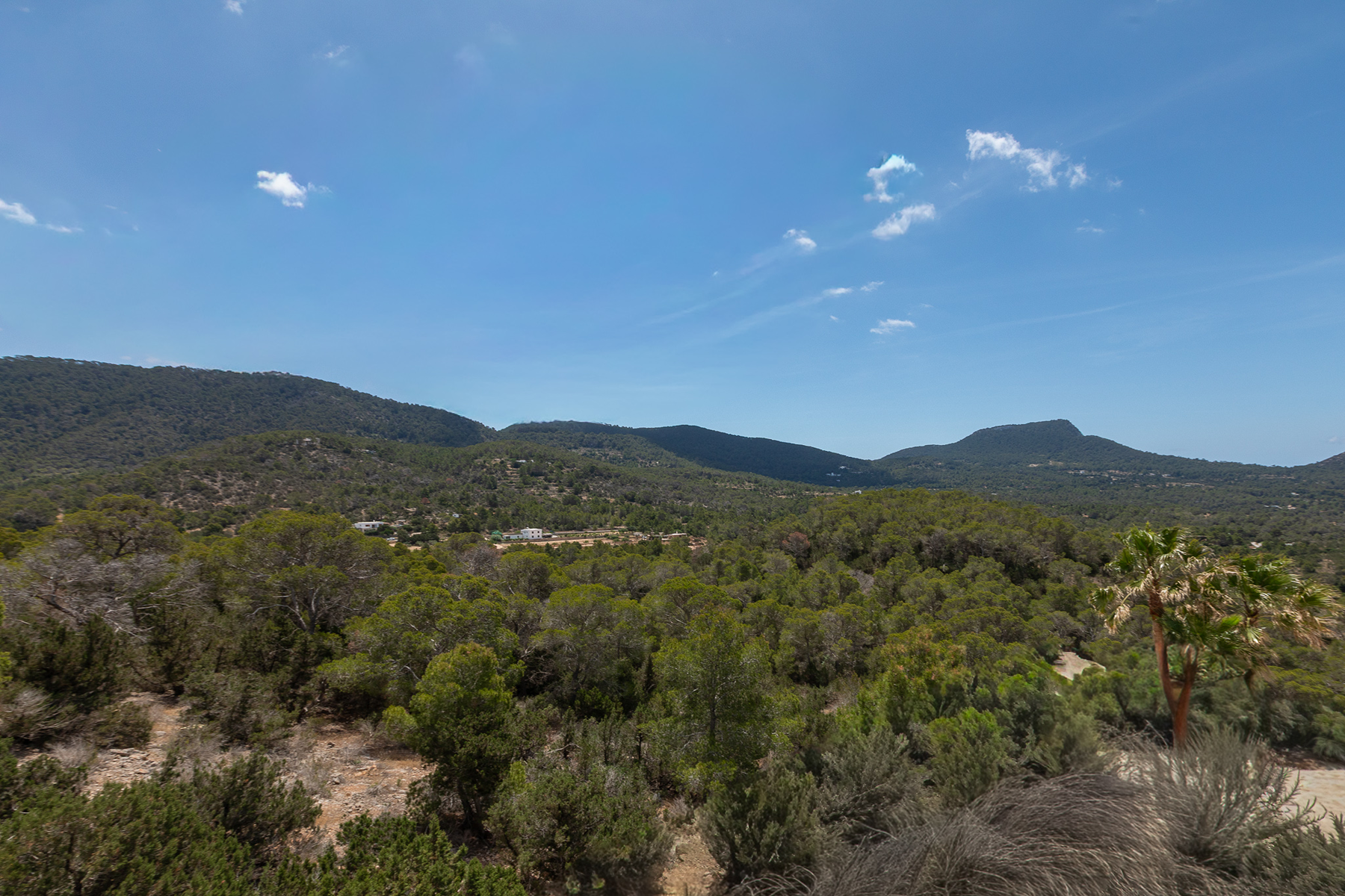  Modern villa with sea views in Cala Carbo, Ibiza - 物件實景