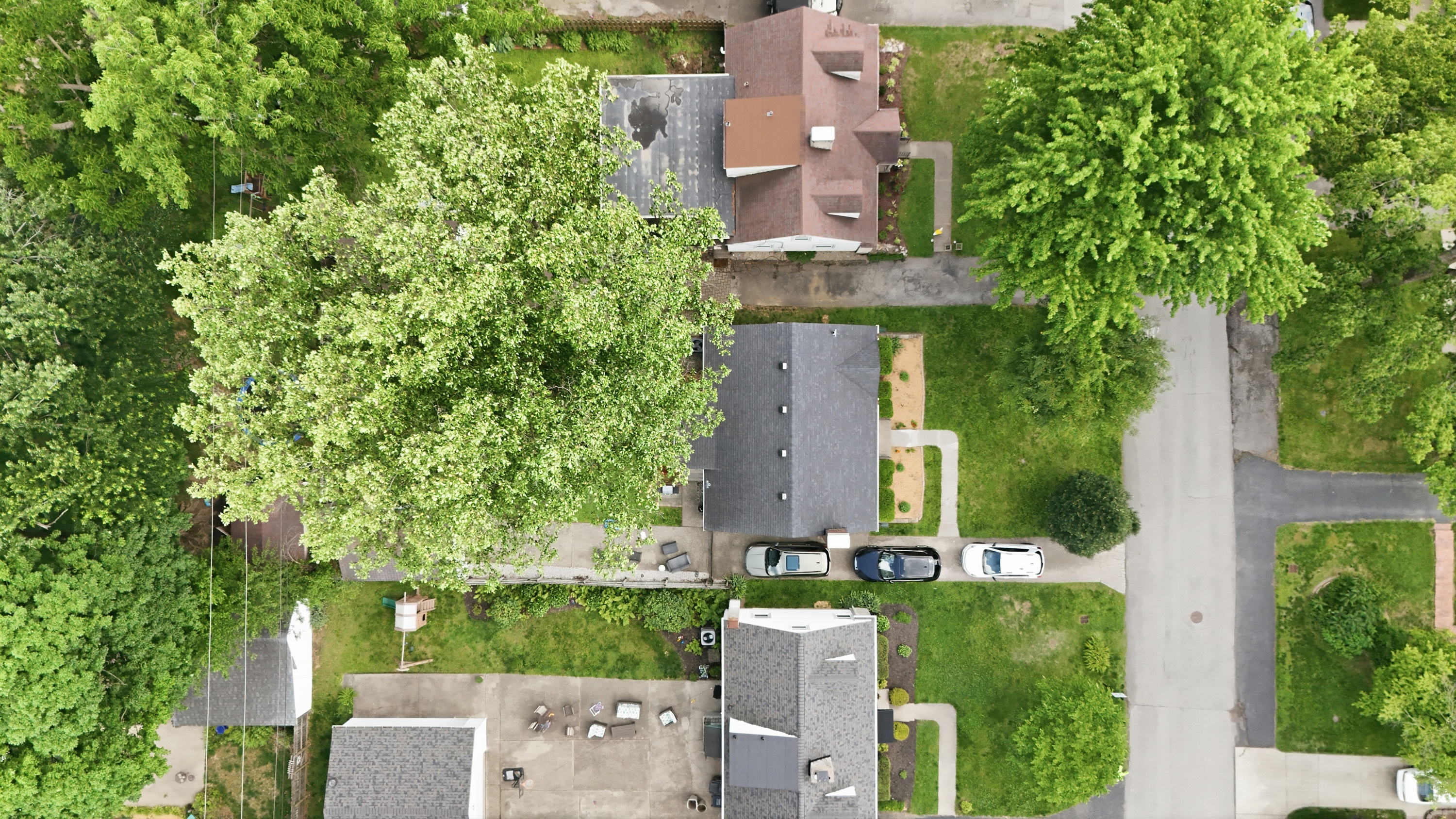  225 Monohan Drive, Louisville, KY 40207 - 物件實景