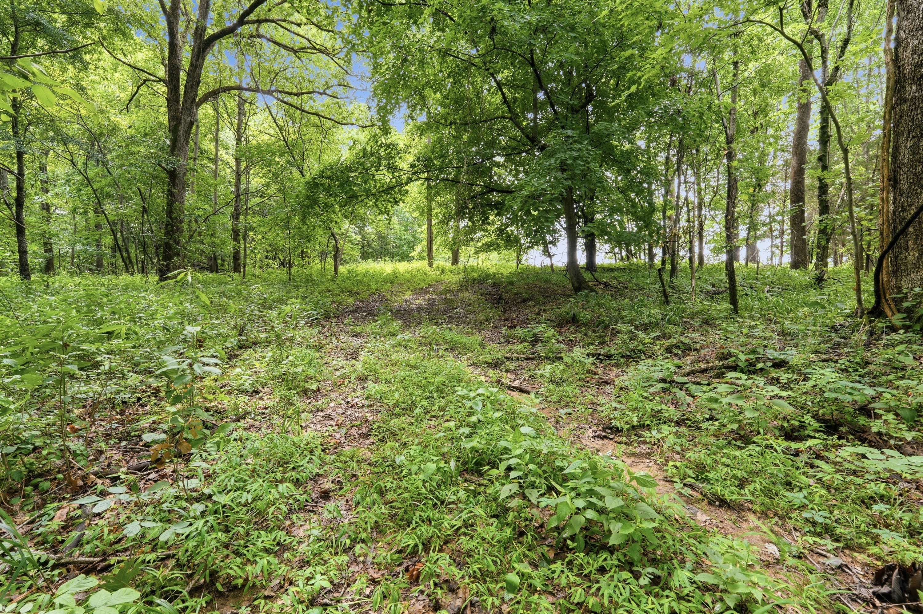  3850 Smith Lane, La Grange, KY 40031 - 物件實景