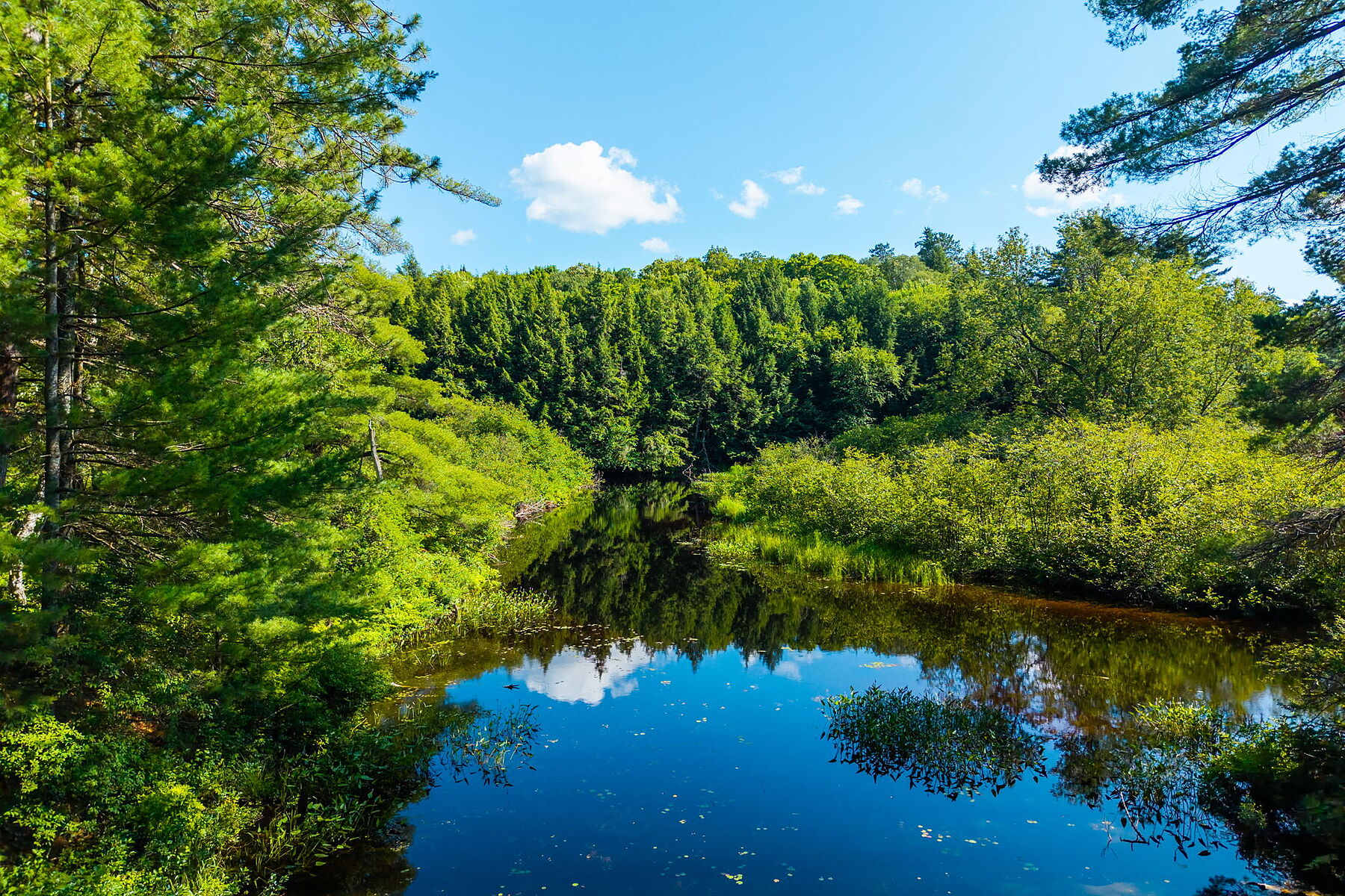  Buck River Huntsville - 物件實景
