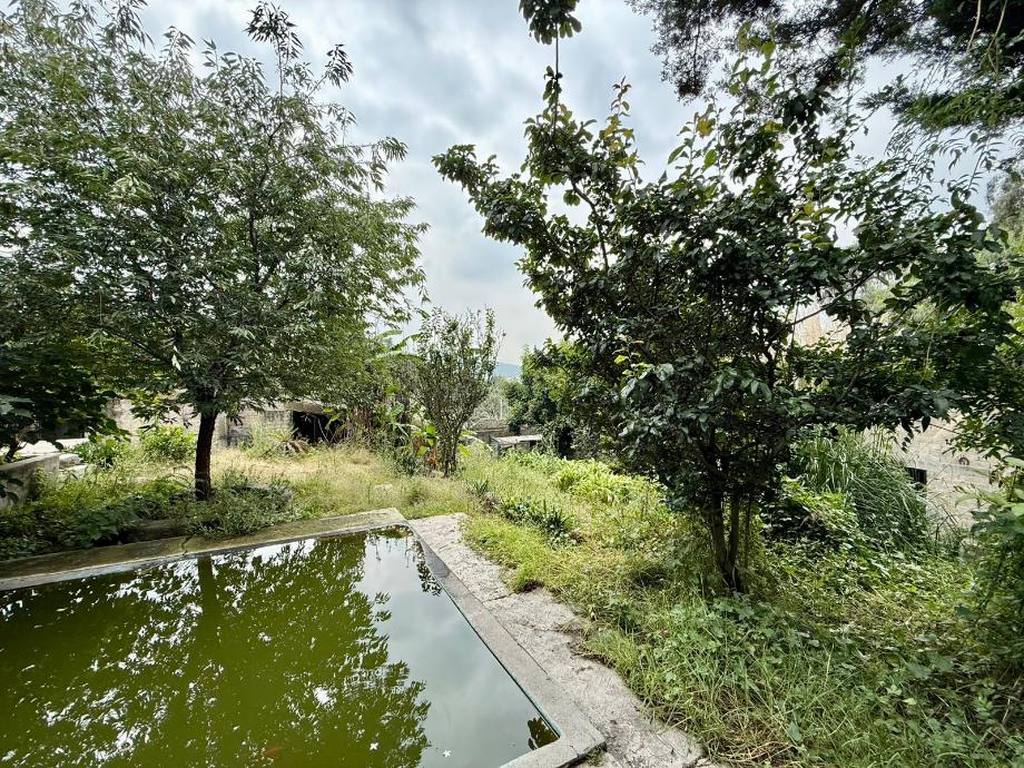 Atizapán de Zaragoza, Estado de méxico, 52966, Mexico, 1 Bedroom Bedrooms, ,Residential,For Sale,2001002