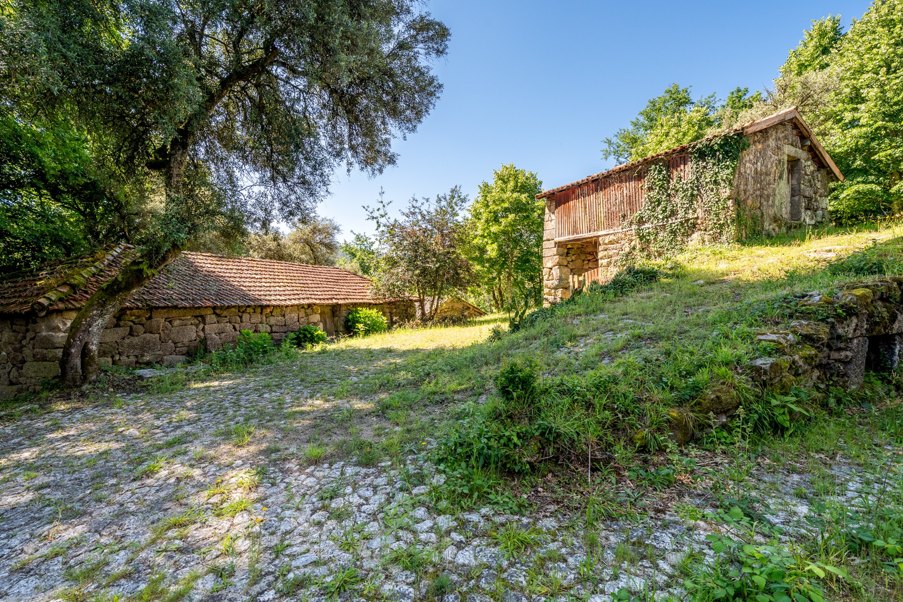  Farm for Sale - 物件實景