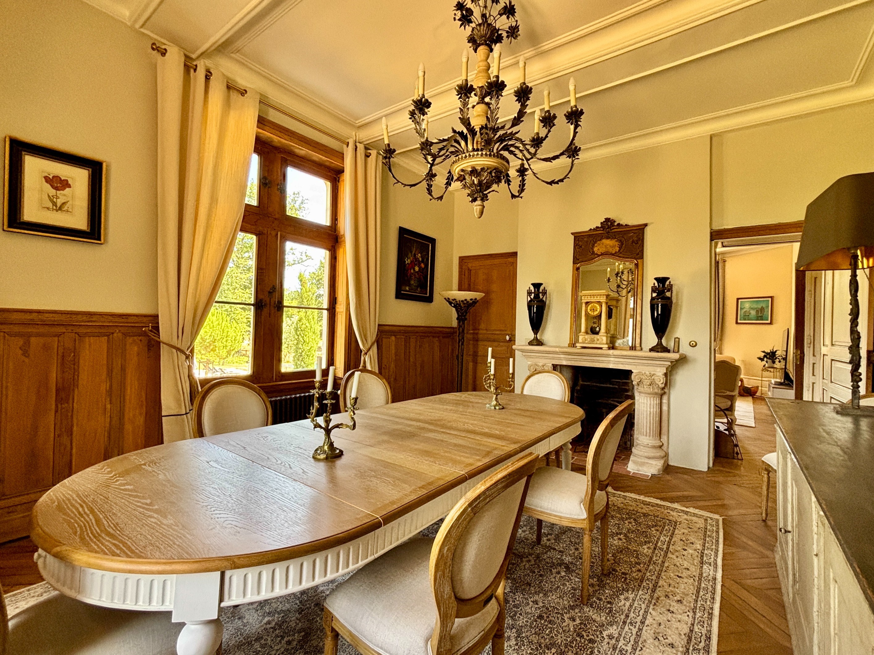  A charming Castle located at 15 minutes from Loches - 物件實景