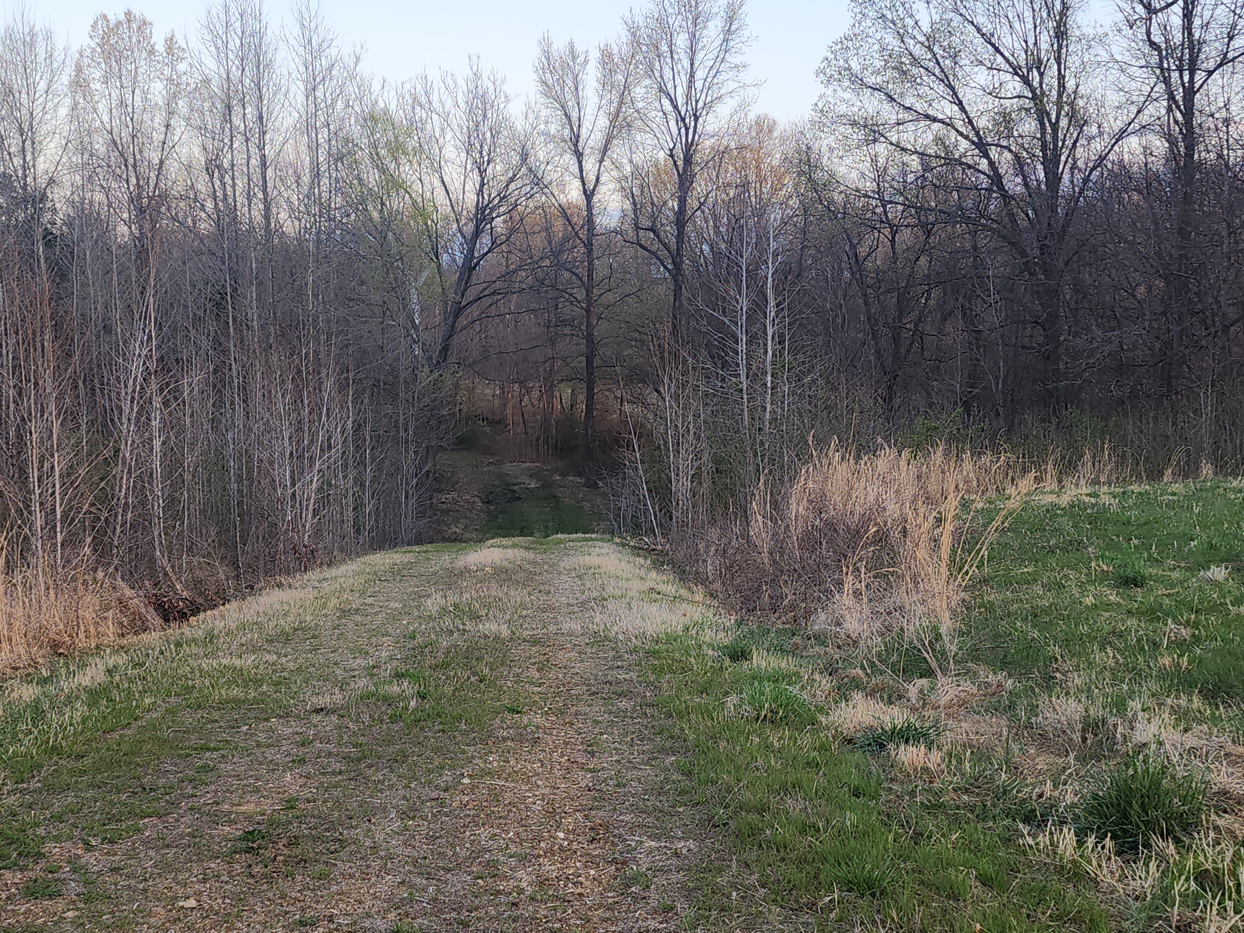 Union City, Tennessee, 38261, United States, ,Land,For Sale,1982811