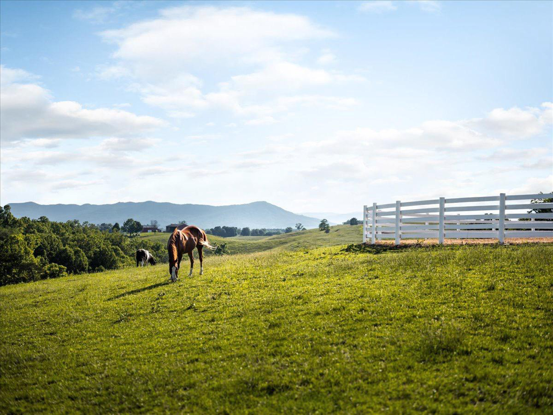  336 Jacobs Ladder, Lexington, VA, 24450 - 物件實景