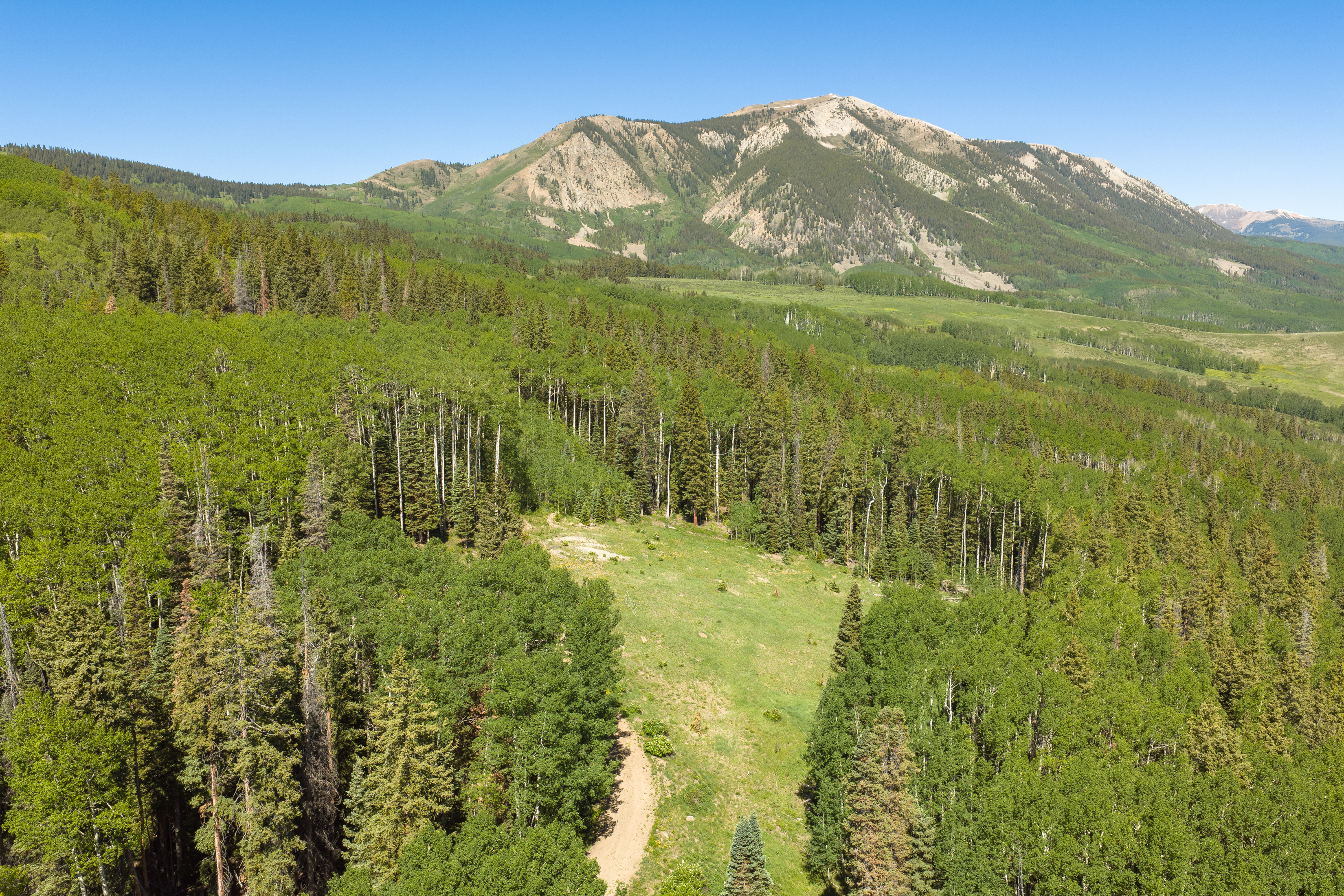  141 White Buffalo Trail, Crested Butte, CO, 81224 - 物件實景