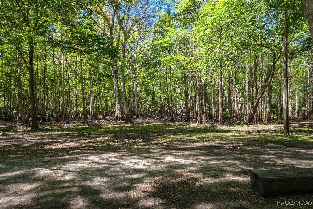 Inverness, Florida, 34450, United States, 3 Bedrooms Bedrooms, ,2 BathroomsBathrooms,Residential,For Sale,1881074