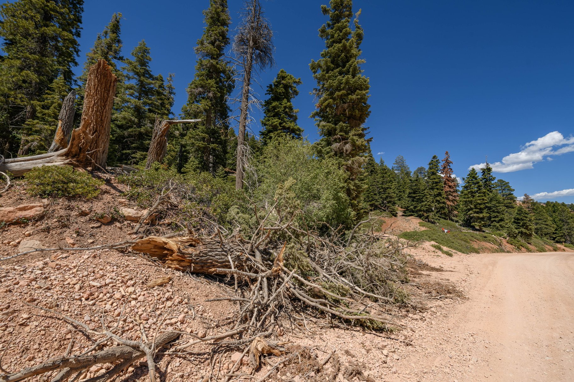  Quiet Mountain Retreat Near Navajo Lake - 物件實景
