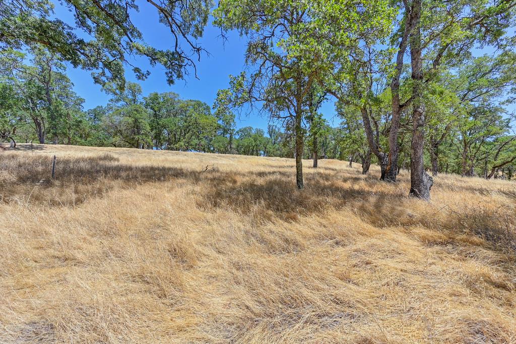 El Dorado Hills, California, 95762, United States, ,Land,For Sale,1874458