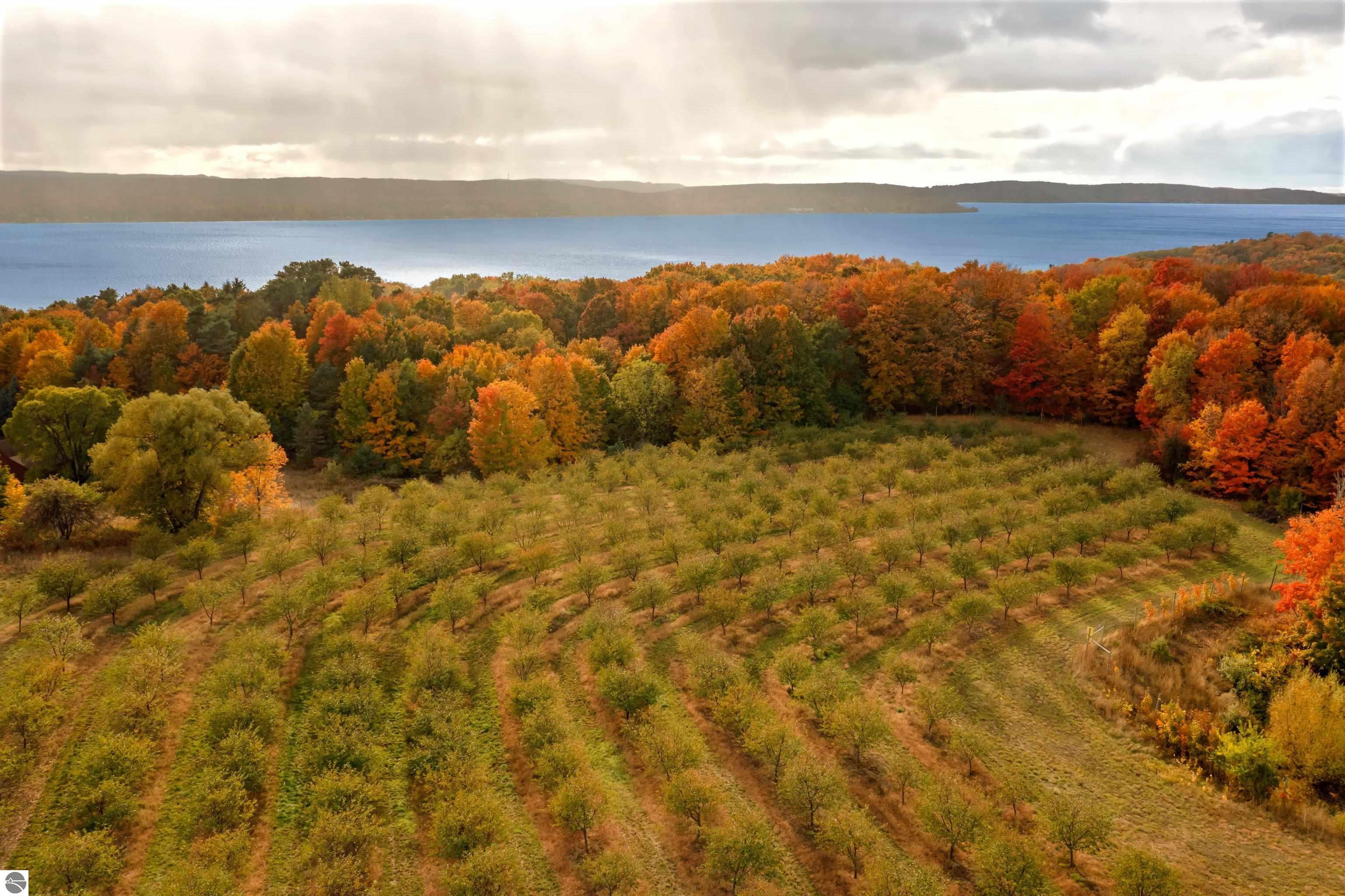 Beulah, Michigan, 49617, United States, ,Land,For Sale,1938552