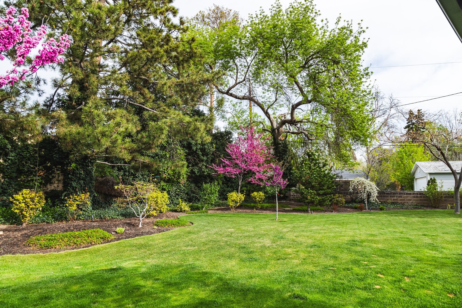 Tastefully Updated Holladay Rambler on .60 acre Manicured Lot - 物件實景