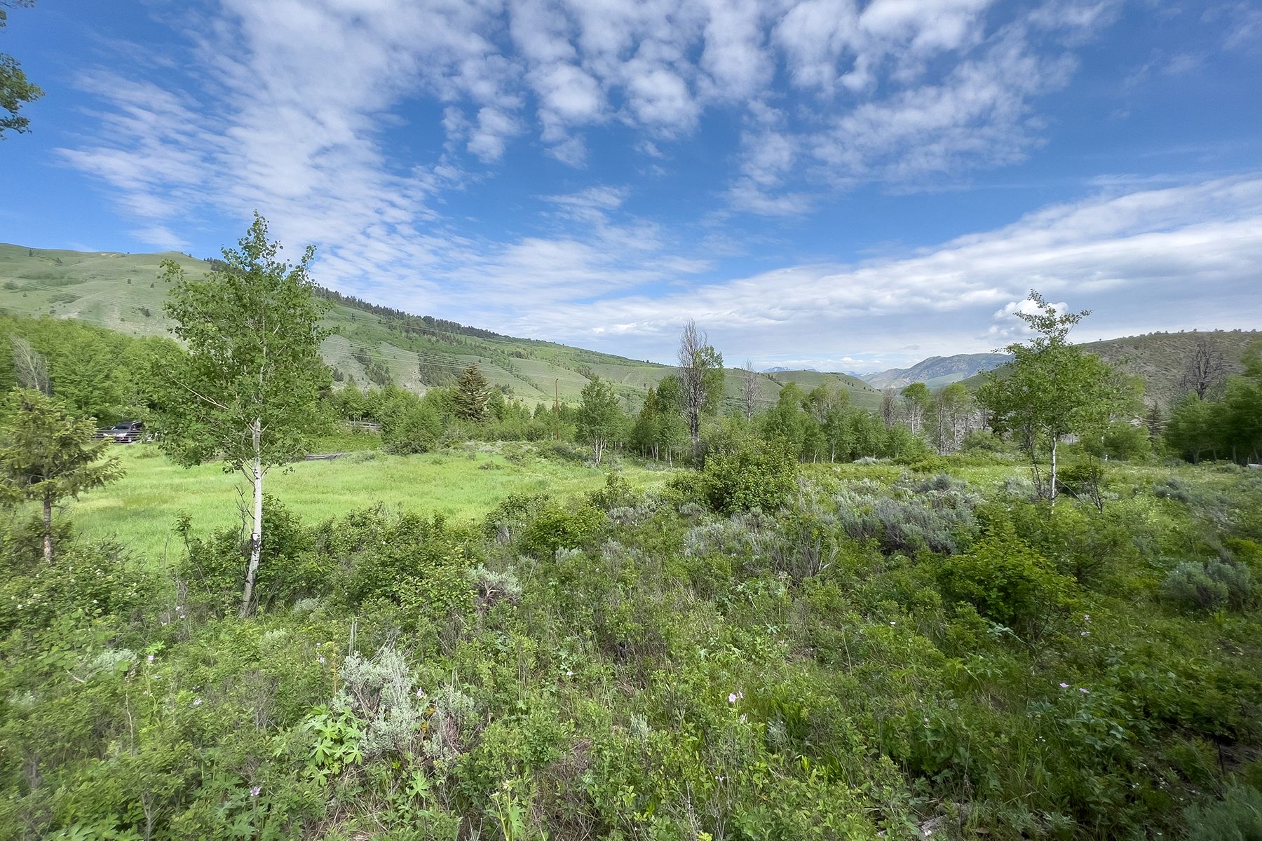  Rodeo Road - 物件實景