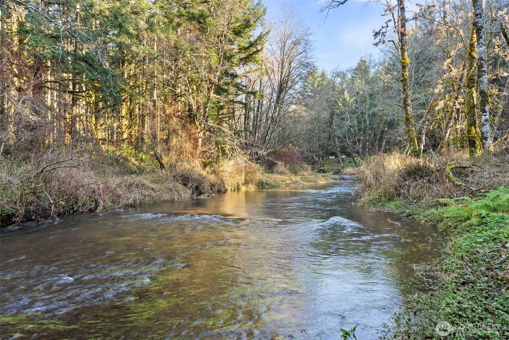 Chehalis, Washington, 98532, United States, 2 Bedrooms Bedrooms, ,1 BathroomBathrooms,Residential,For Sale,2002631