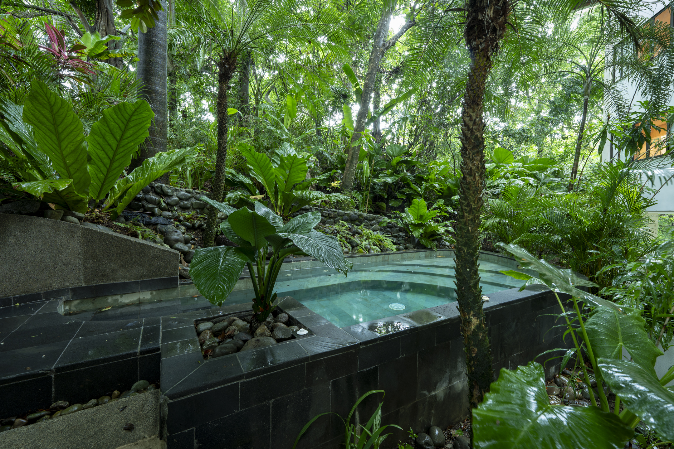 Manuel Antonio, Puntarenas, CR, 4 Bedrooms Bedrooms, ,6 BathroomsBathrooms,Residential,For Sale,1877322
