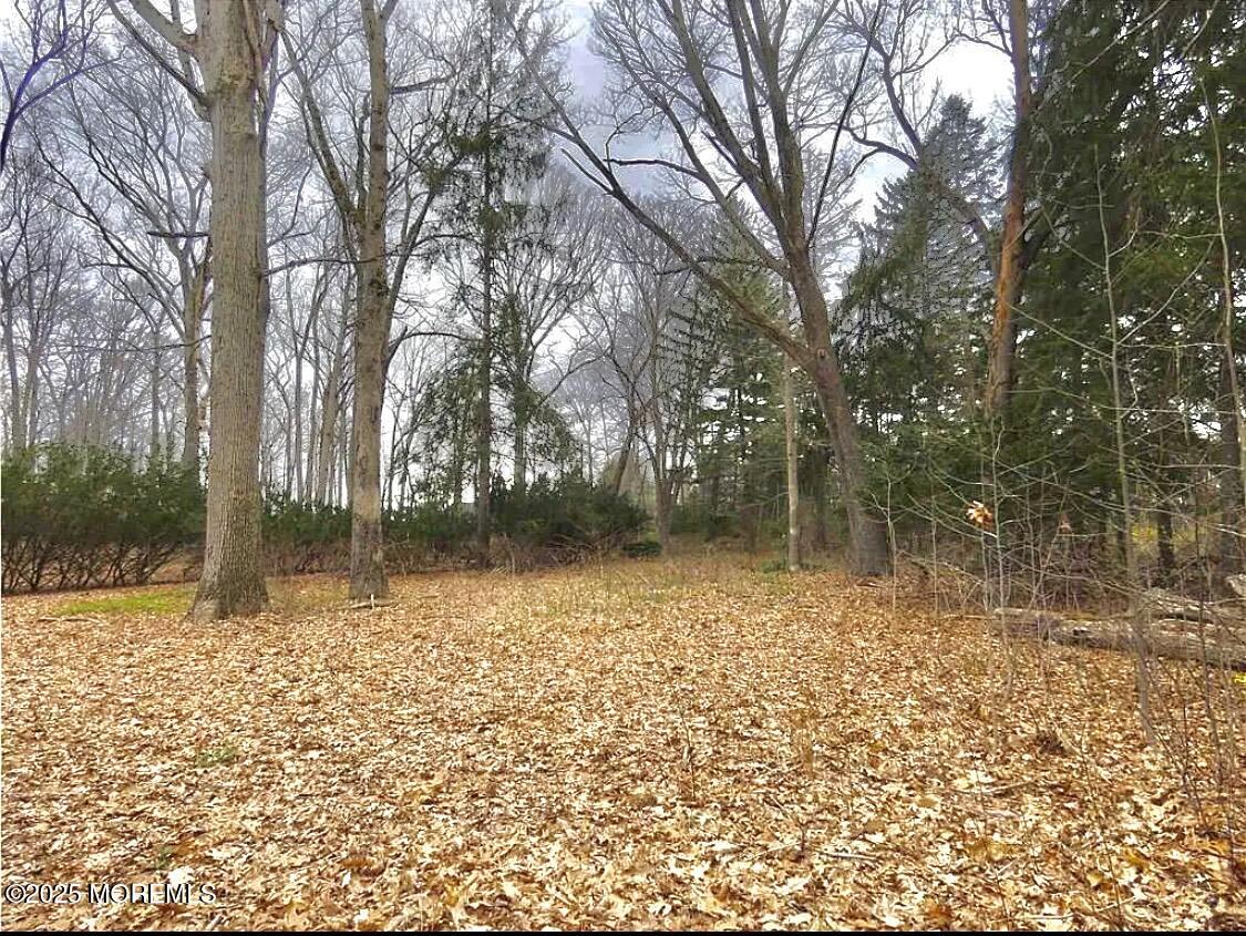 Monroe, New Jersey, 08831, United States, ,Land,For Sale,1932074