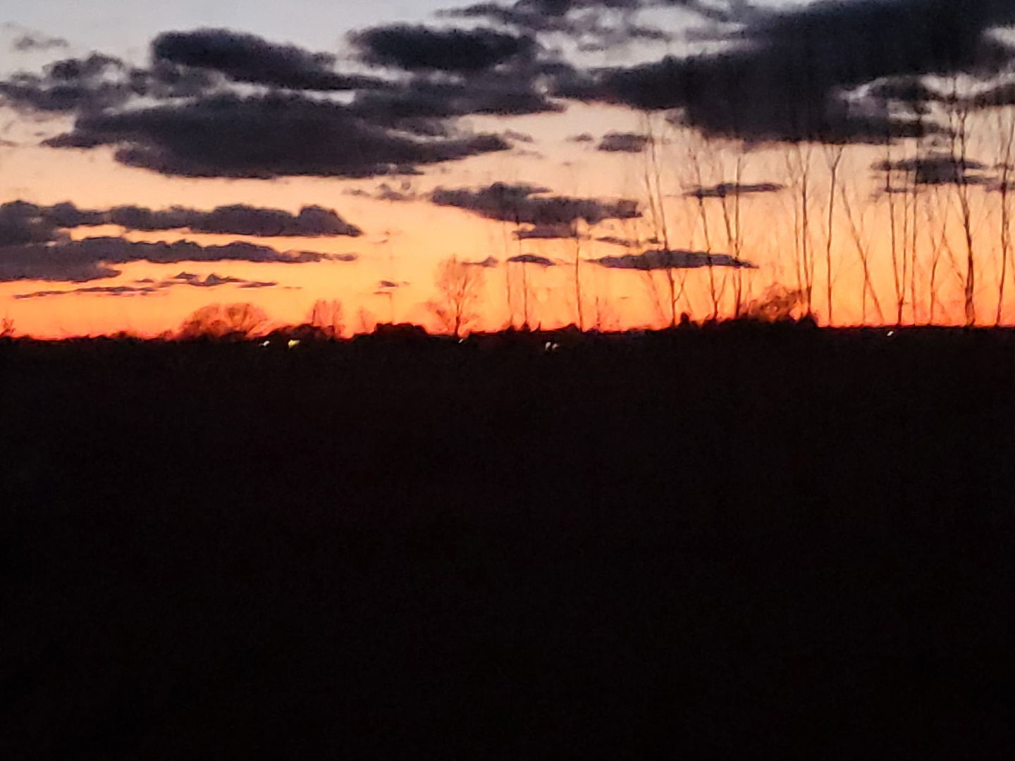 Leland, Illinois, 60531, United States, 3 Bedrooms Bedrooms, ,3 BathroomsBathrooms,Residential,For Sale,1980976