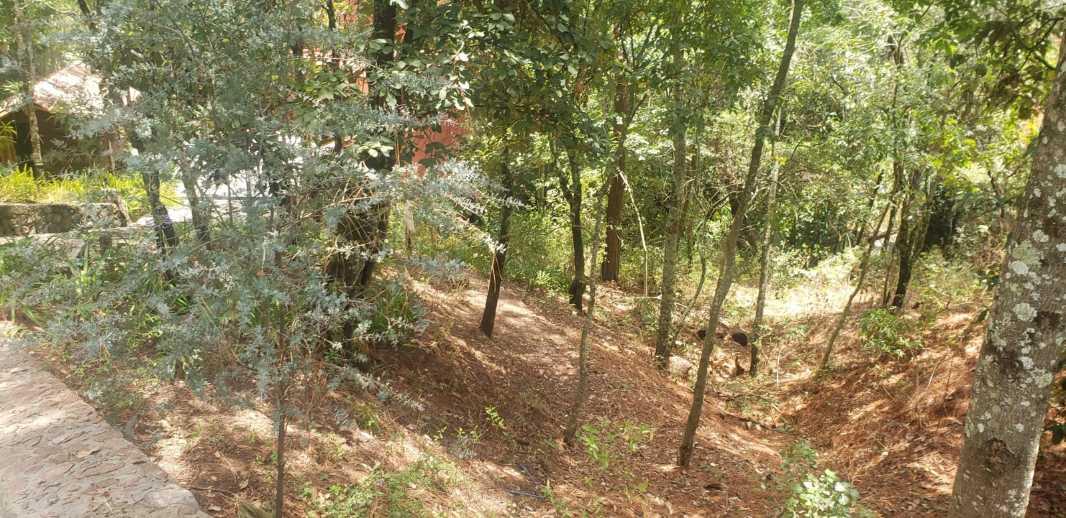 Valle de Bravo, Estado de México, 51200, Mexico, 1 Bedroom Bedrooms, ,Residential,For Sale,1739310