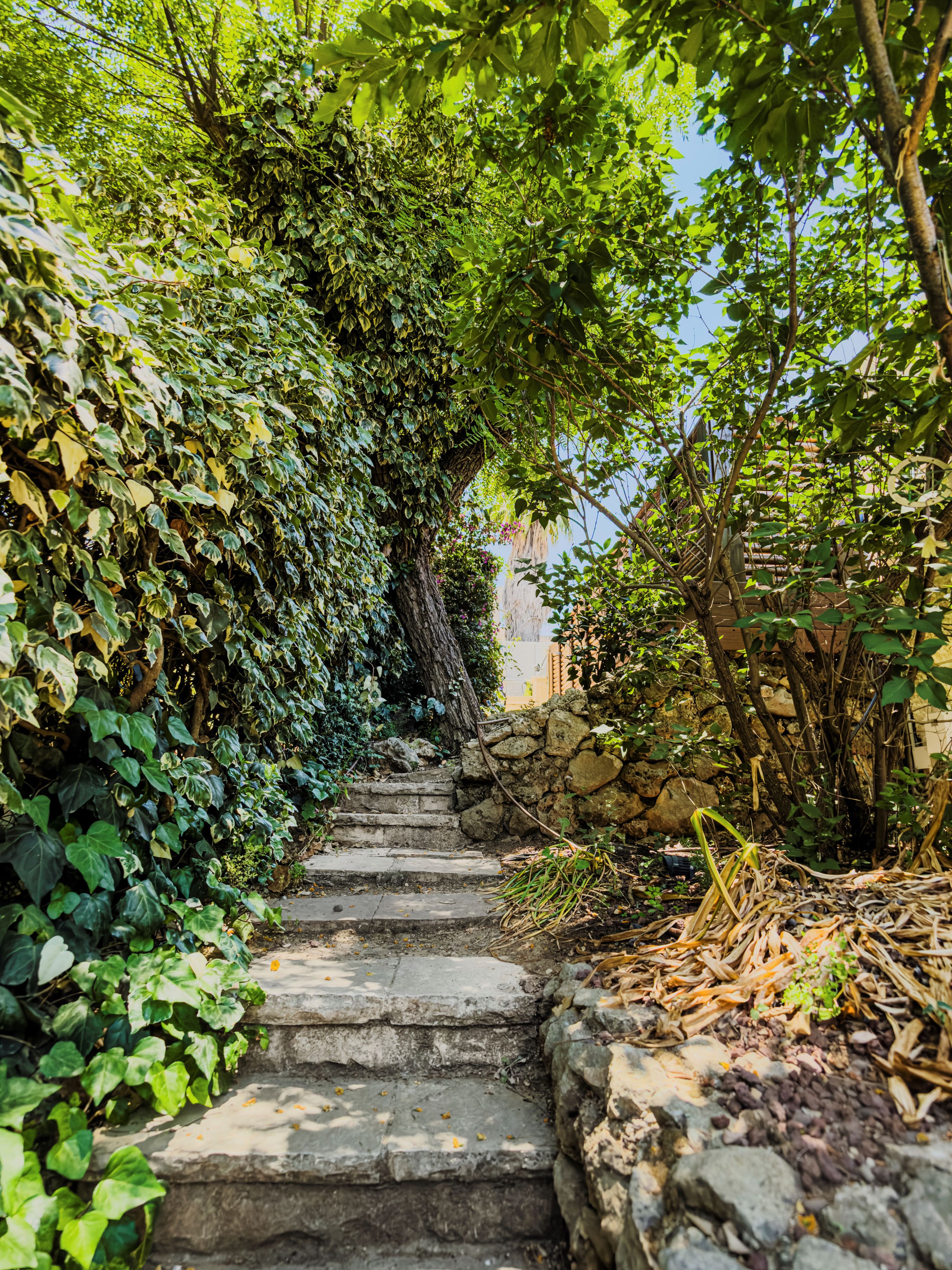  Elegant Private Home Surrounded by Lush Gardens in the Heart of Mevaseret Zion - 物件實景