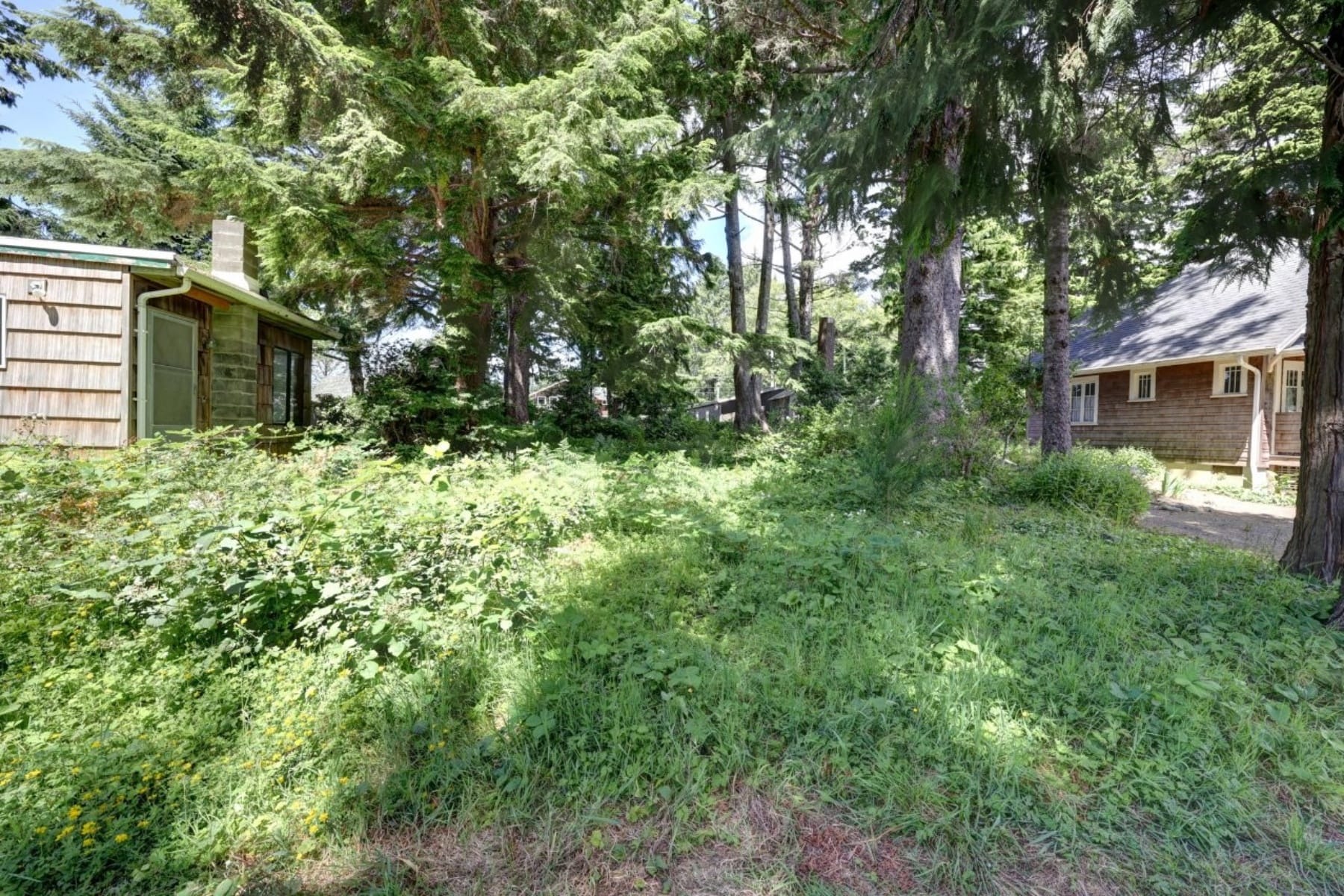  216 E Harrison ST Cannon Beach, OR 97110 - 物件實景