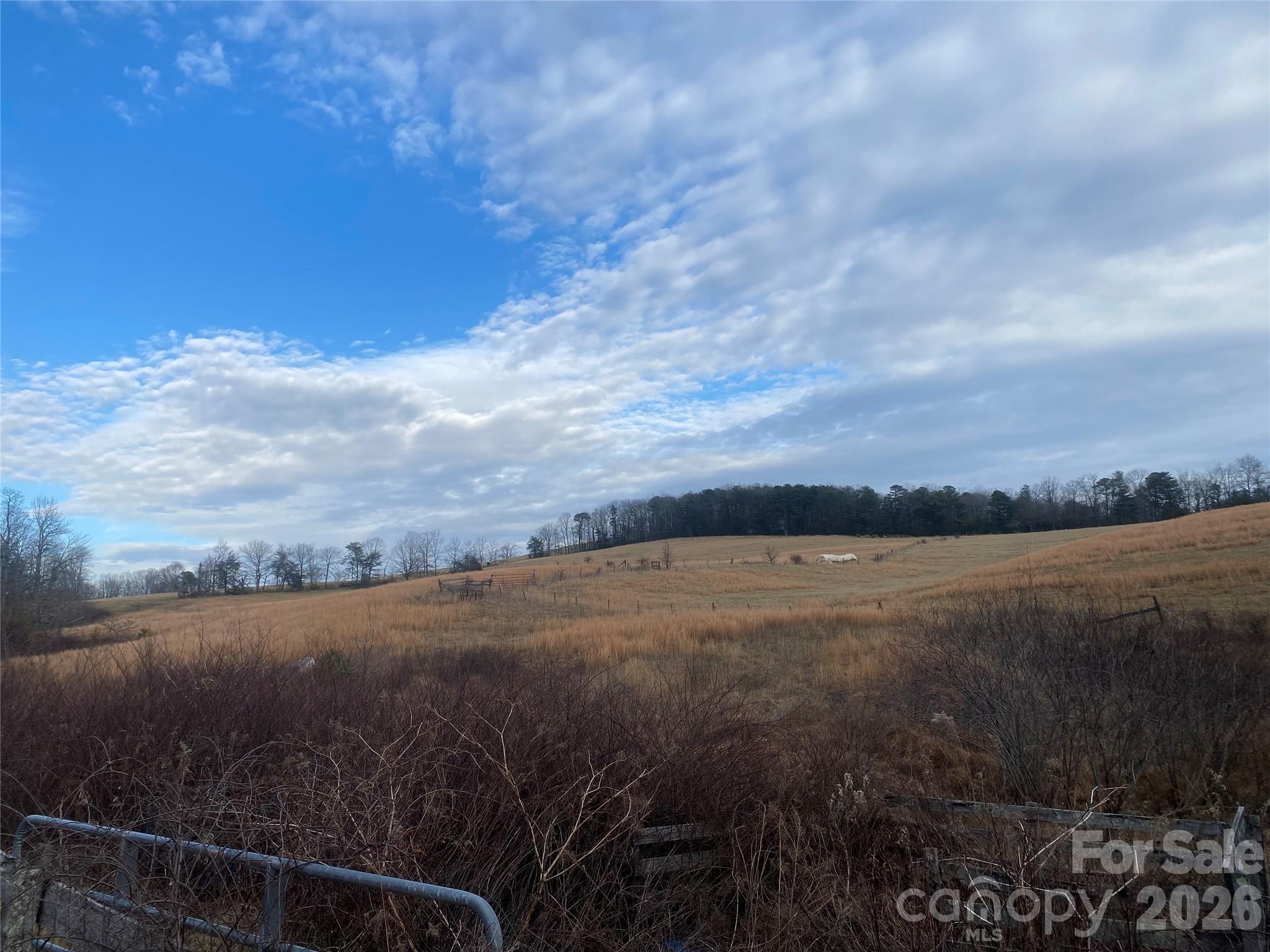 Hendersonville, North Carolina, 28792, United States, ,Land,For Sale,2010421